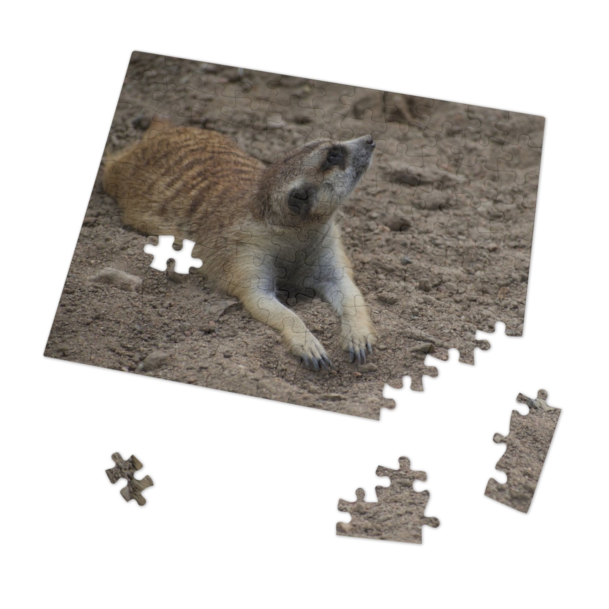 Meerkat Jigsaw Puzzle with Tin – Wildlife Puzzle Gift