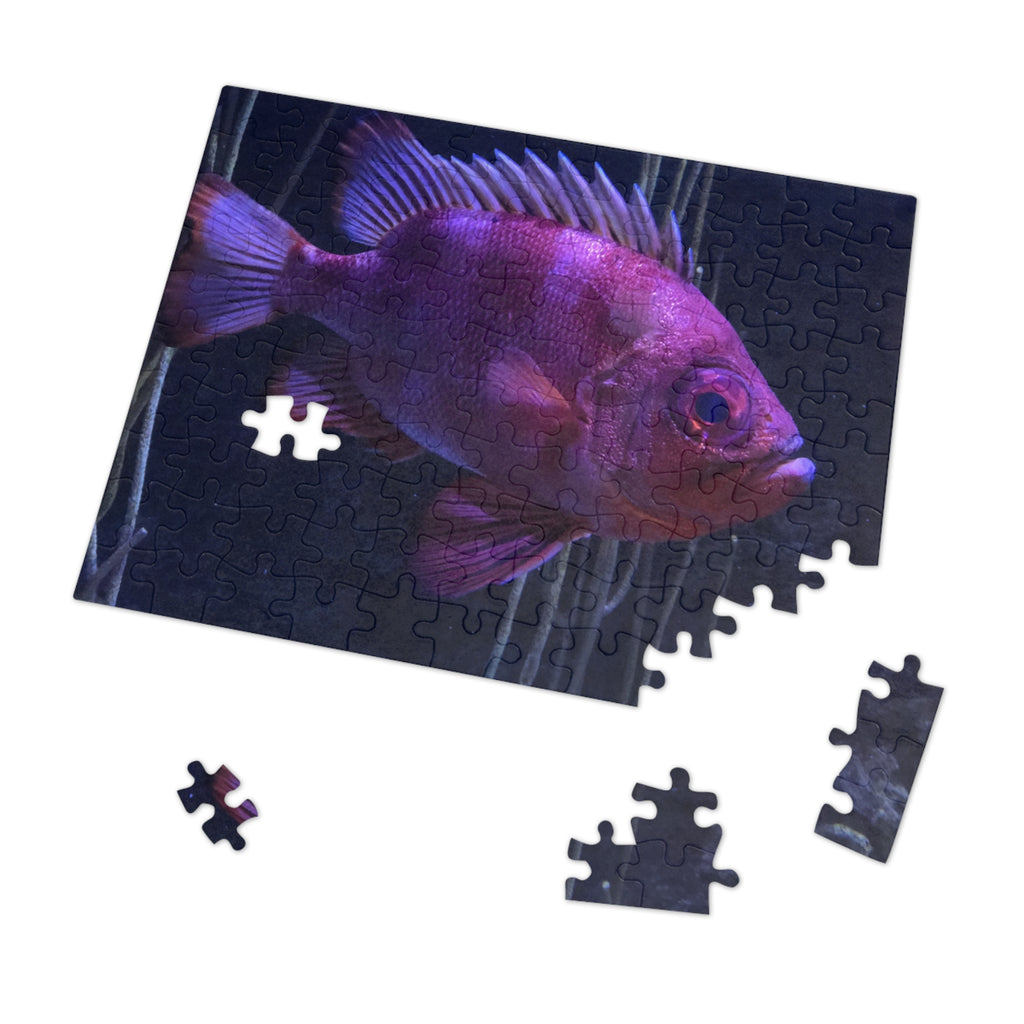 Popeye Catalufa Jigsaw Puzzle — Fish Puzzle with Tin Gift Box