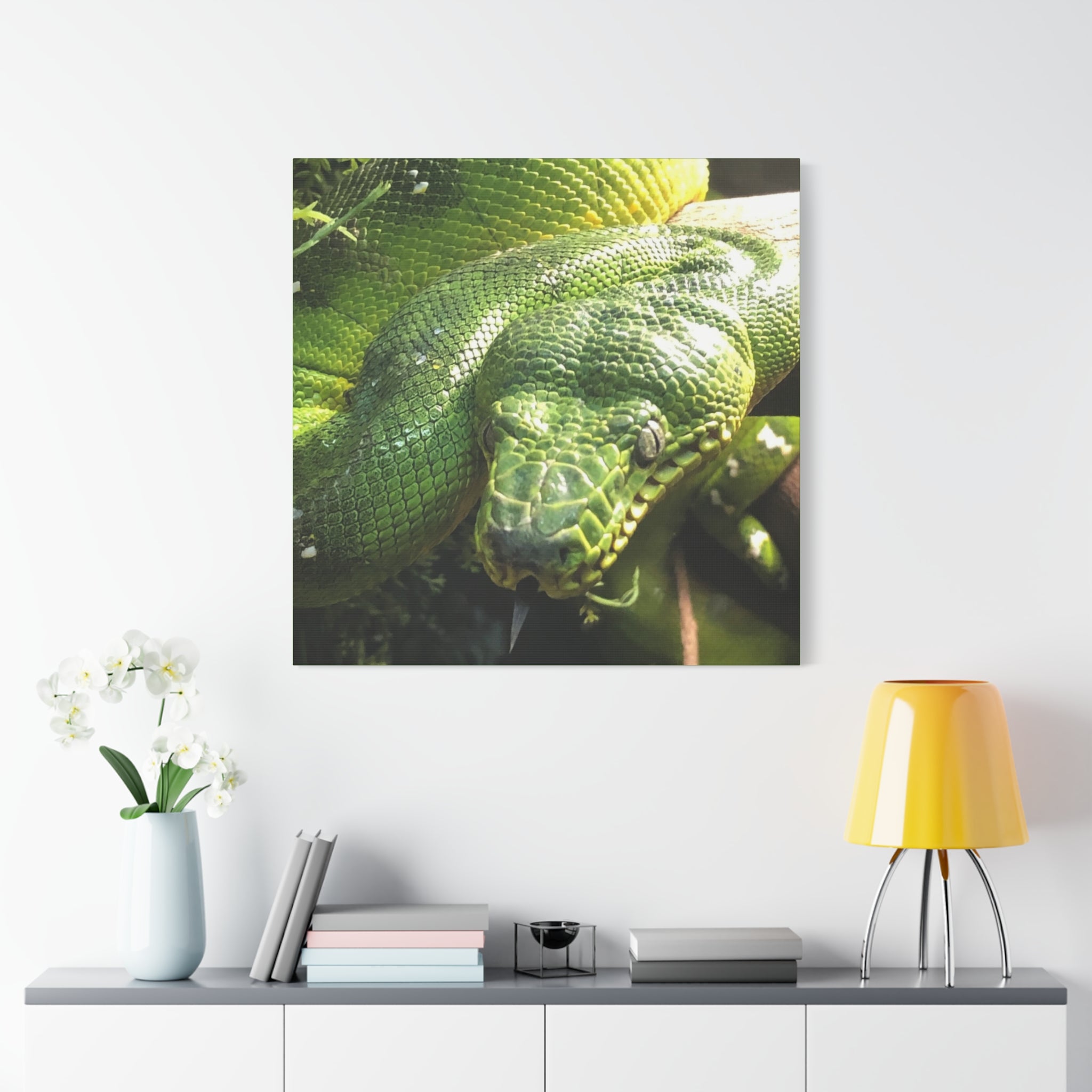 Green Tree Python Canvas Print — Tropical Snake Wall Art (Matte Stretched)