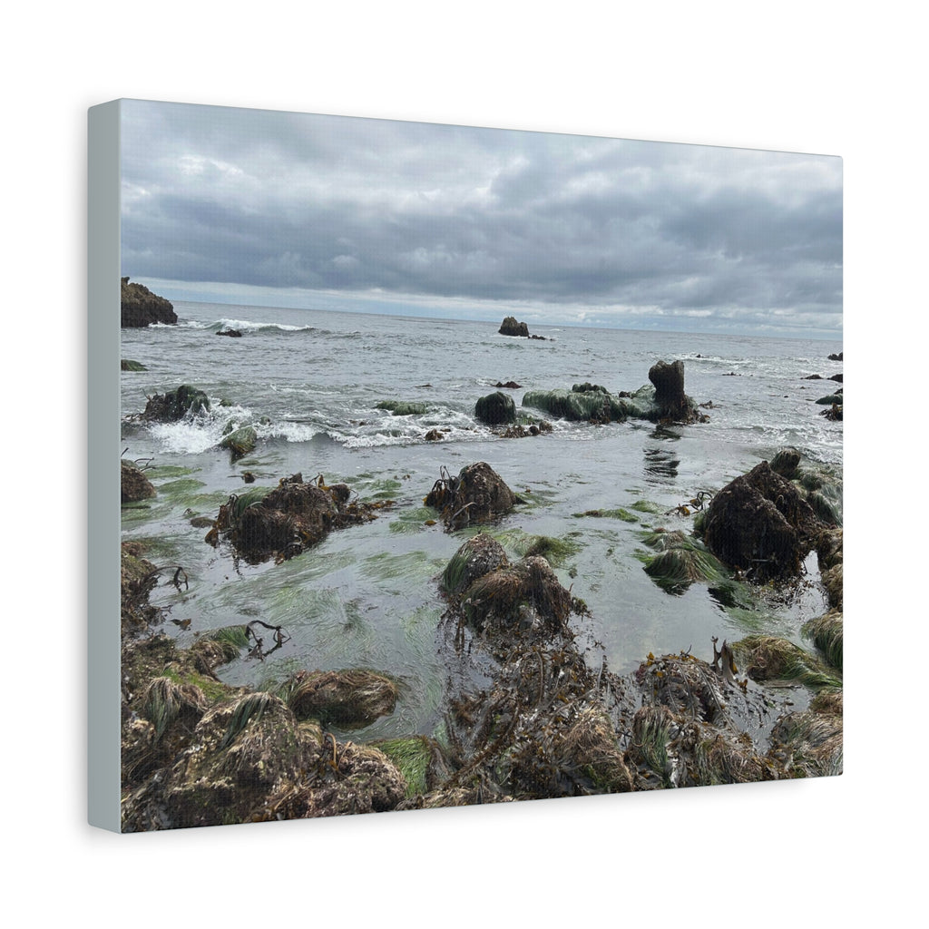 Coastal Tidepool Canvas Wall Art – Moody Gray Seashore Matte Stretched Canvas