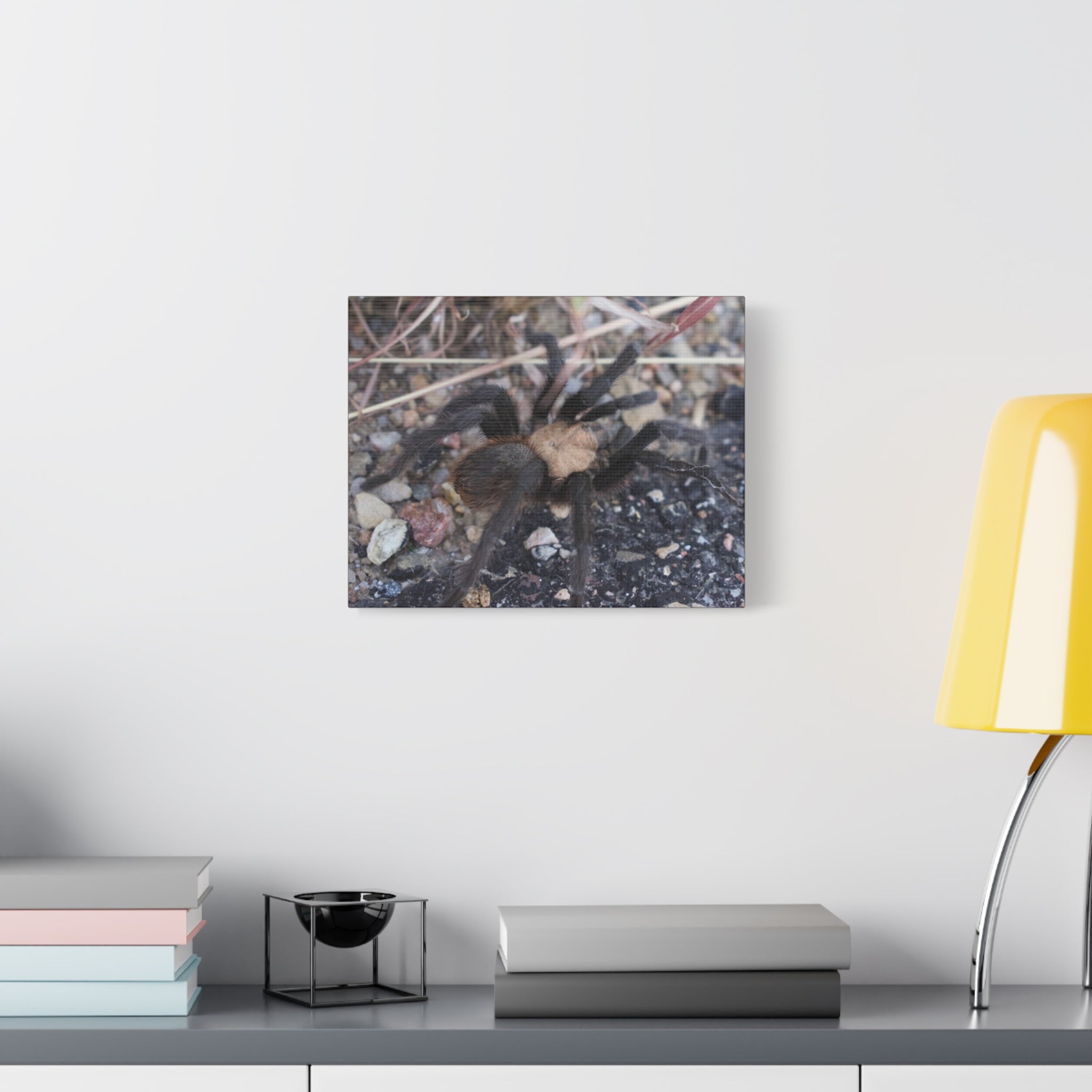 Tarantula Canvas Print — Matte Stretched Wall Art