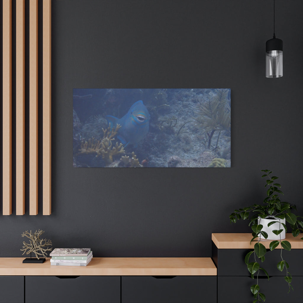 Underwater Parrotfish Canvas Print — Tropical Reef Wall Art