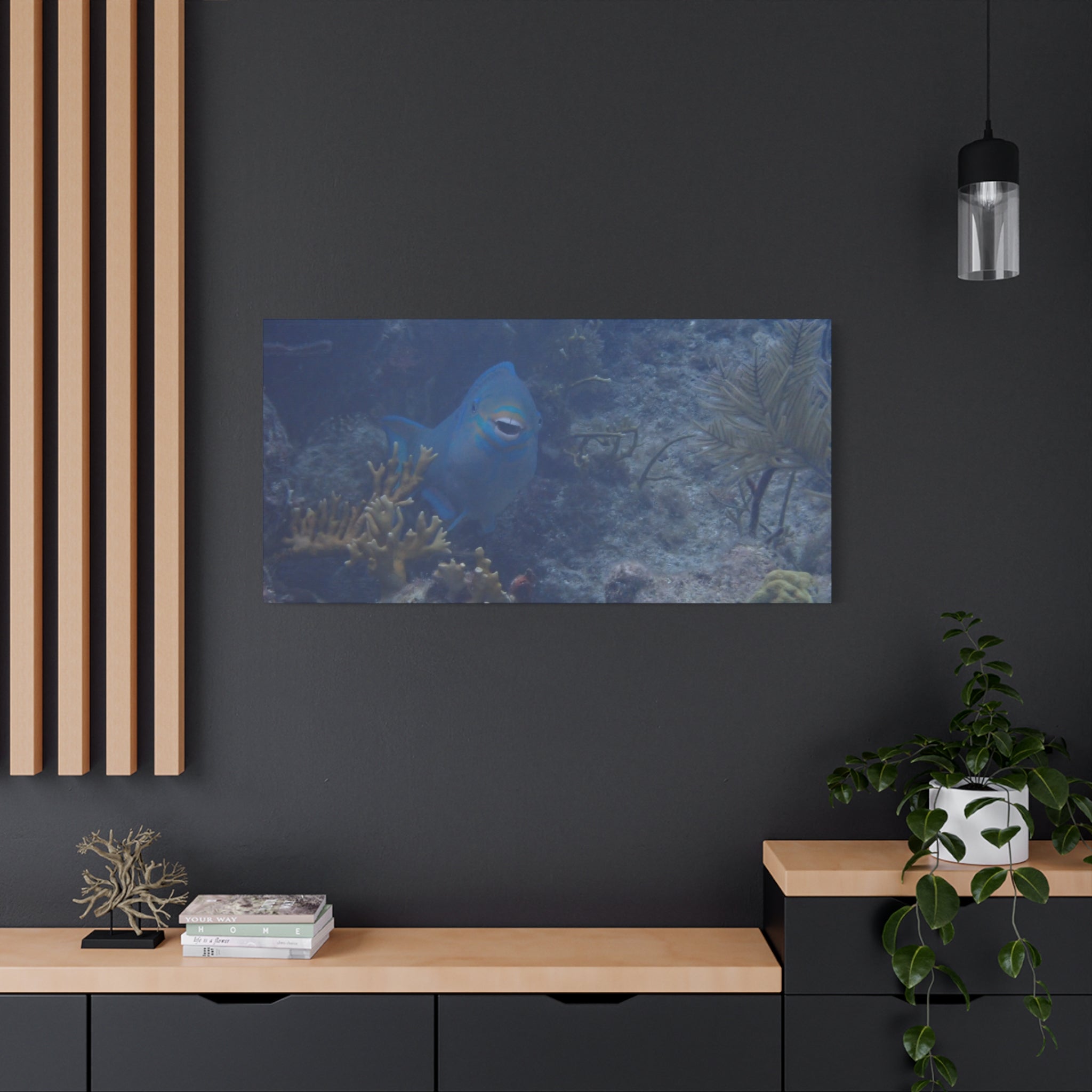 Underwater Parrotfish Canvas Print — Tropical Reef Wall Art