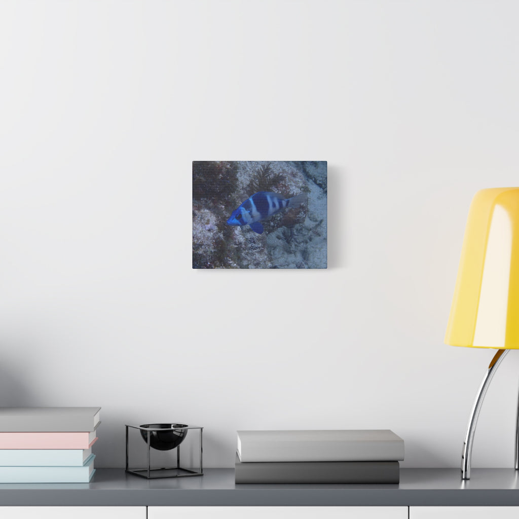 Indigo Hamlet Canvas Print — Underwater Matte Stretched Wall Art