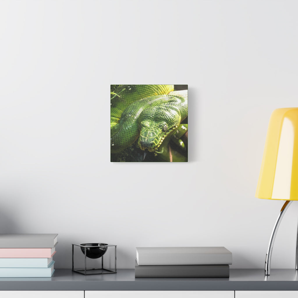 Green Tree Python Canvas Print — Tropical Snake Wall Art (Matte Stretched)