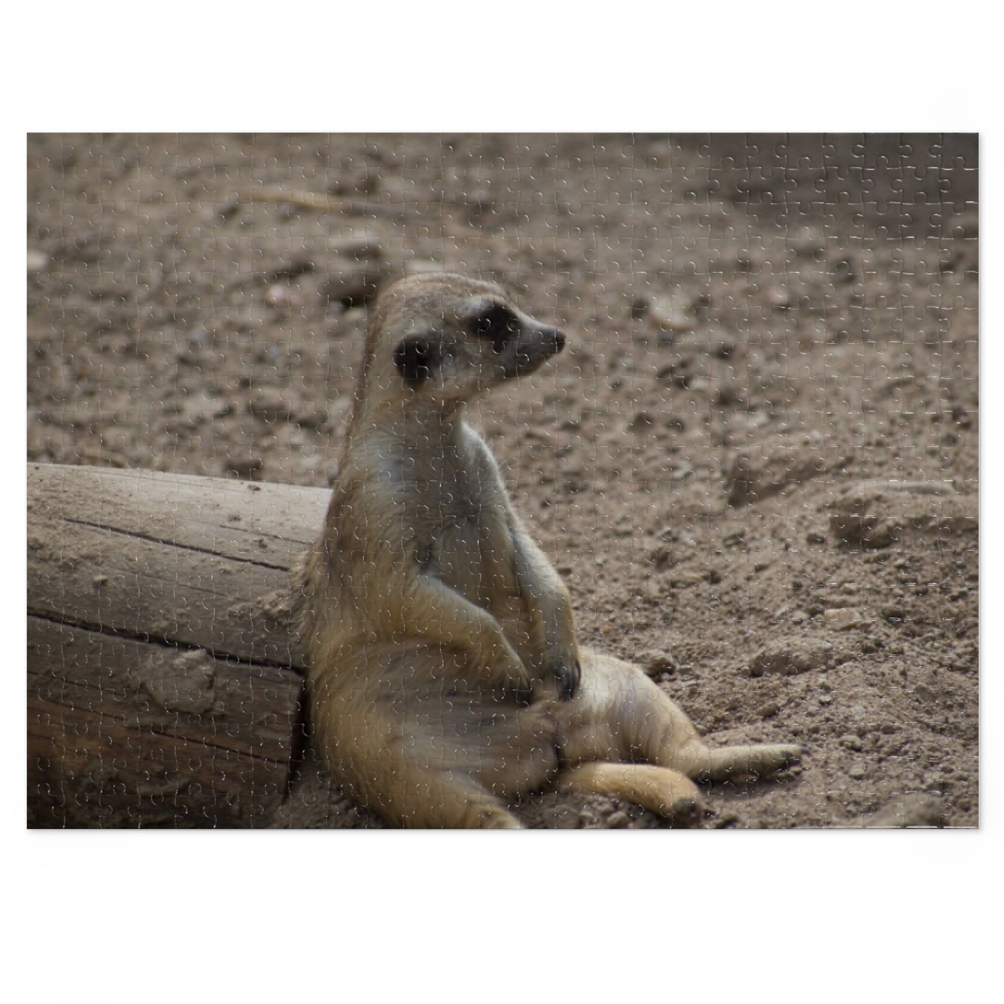 Meerkat Relaxing Jigsaw Puzzle Tin — Wildlife Puzzle Gift
