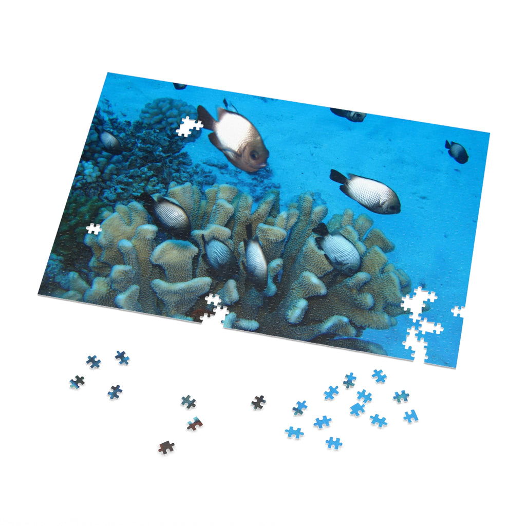 Coral Reef Fish Jigsaw Puzzle (with Tin) - Ocean Puzzle Gift