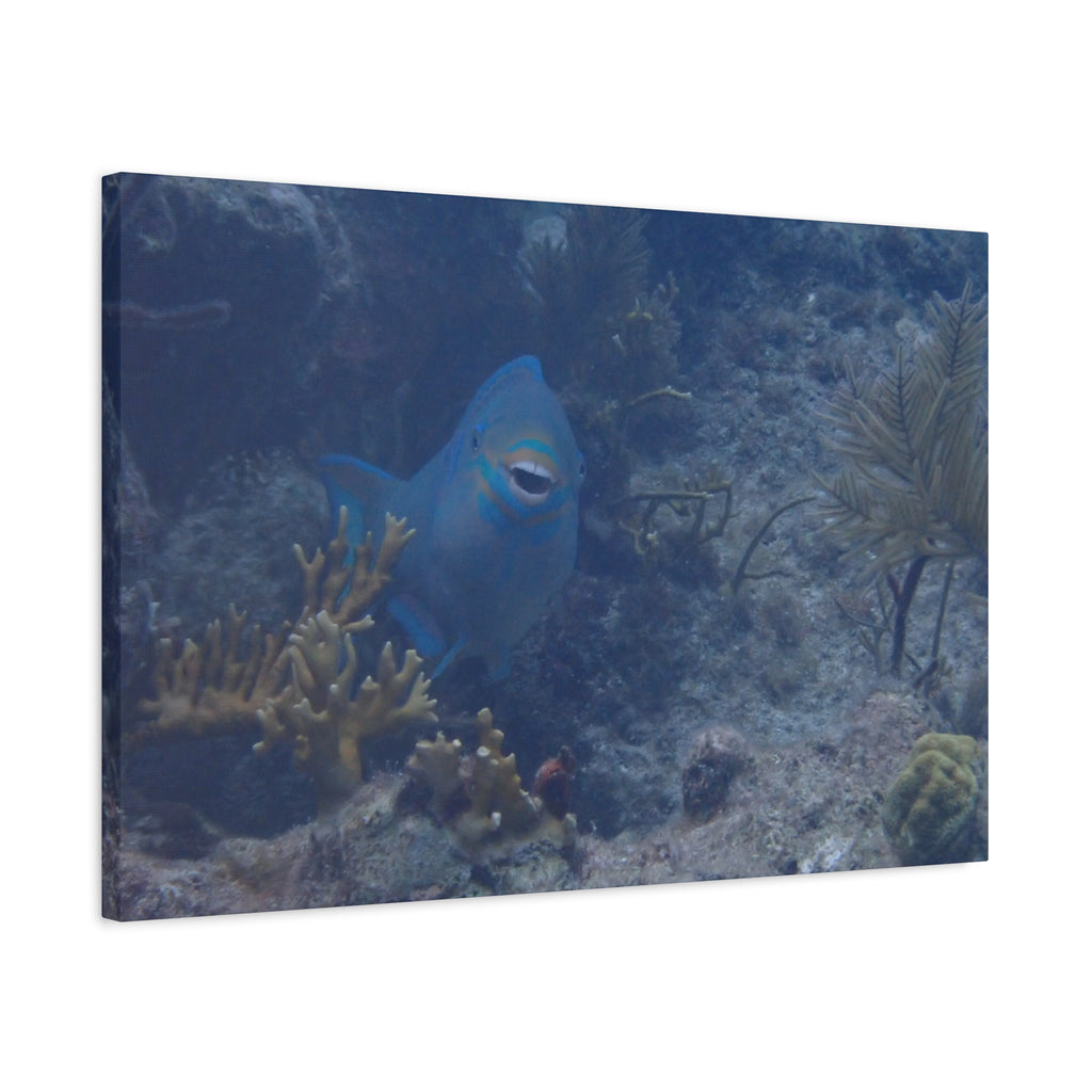 Underwater Parrotfish Canvas Print — Tropical Reef Wall Art
