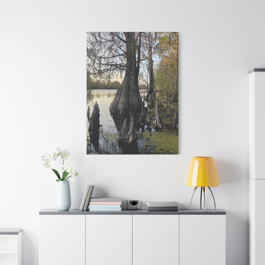 Swamp Matte Stretched Canvas