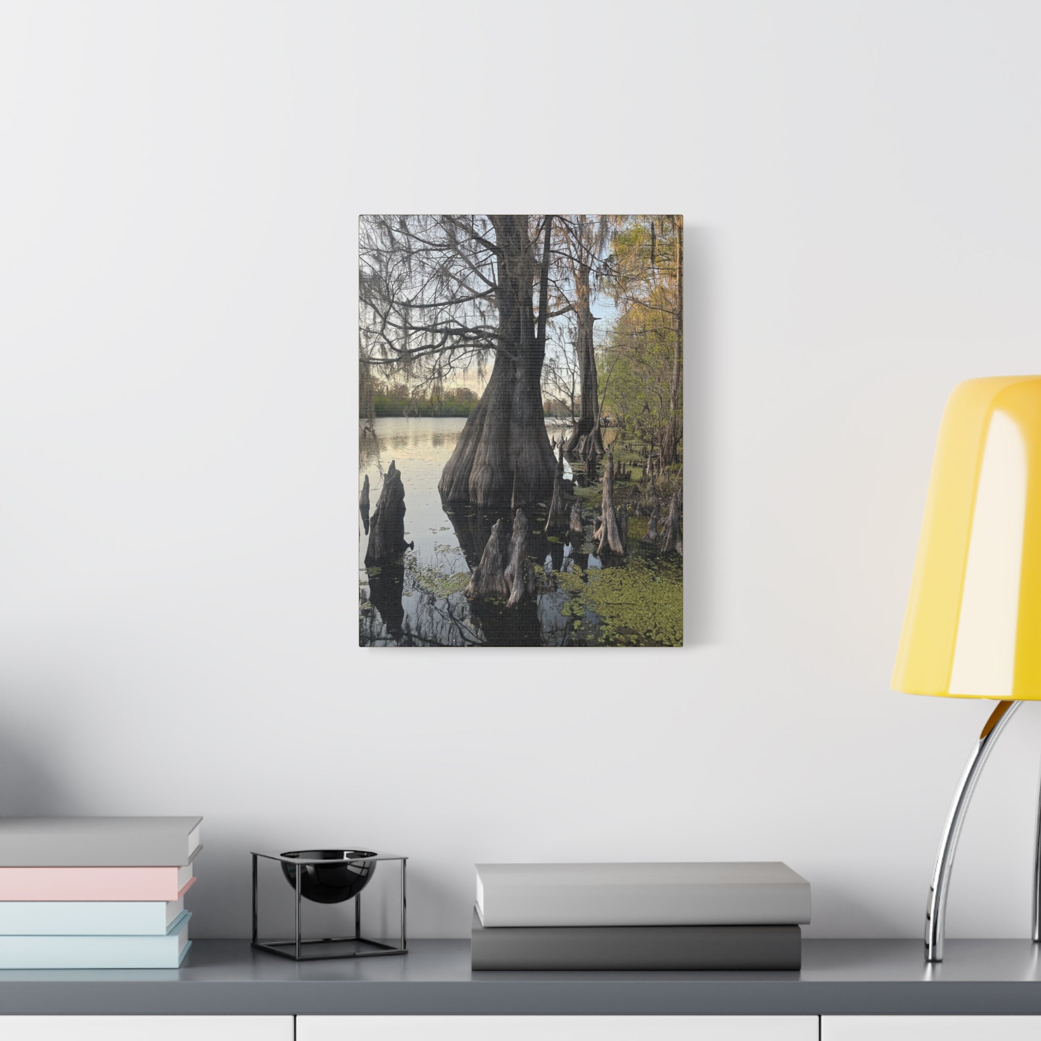 Swamp Matte Stretched Canvas
