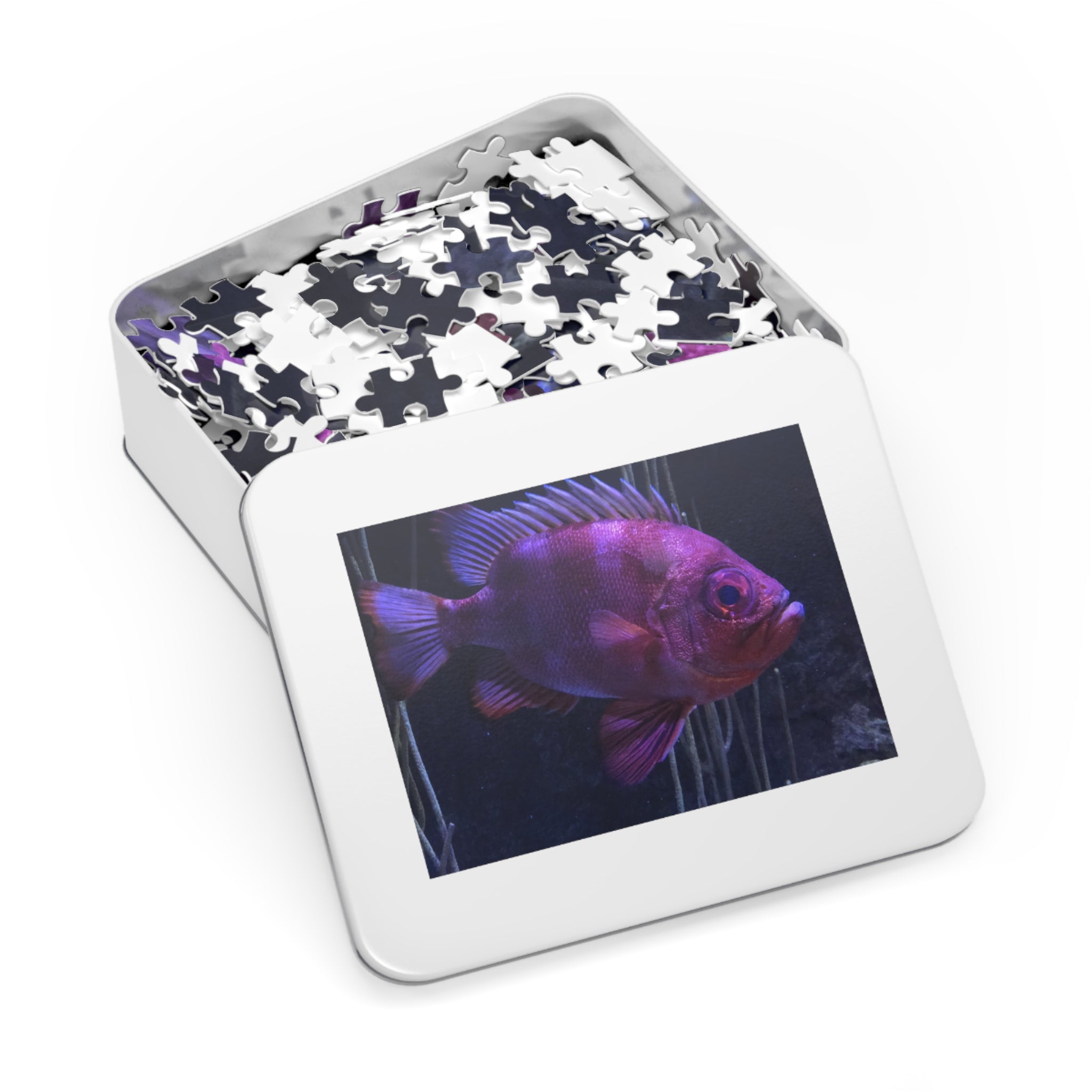 Popeye Catalufa Jigsaw Puzzle — Fish Puzzle with Tin Gift Box