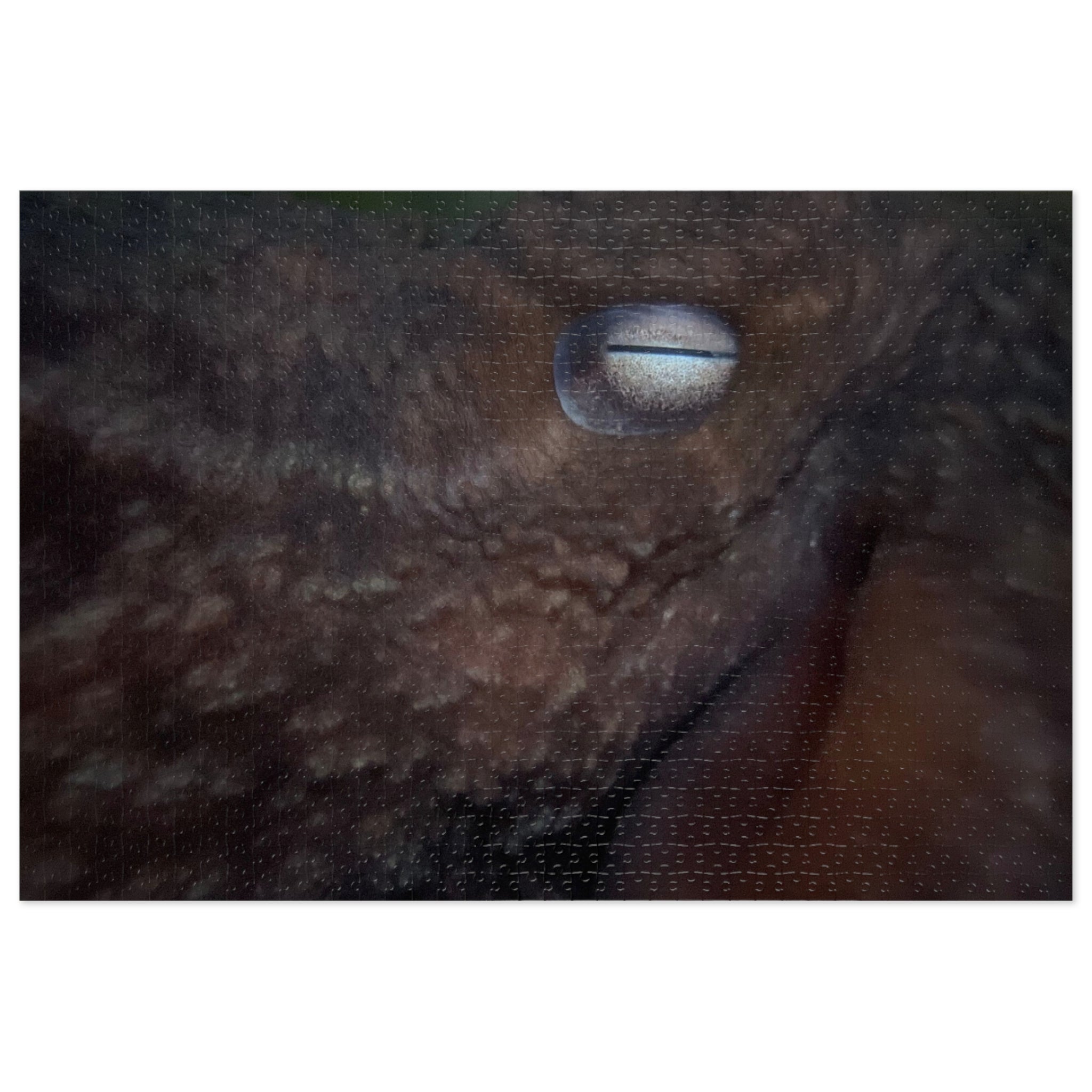 Octopus Eye Jigsaw Puzzle with Tin — Dark Ocean Marine Life Puzzle Gift