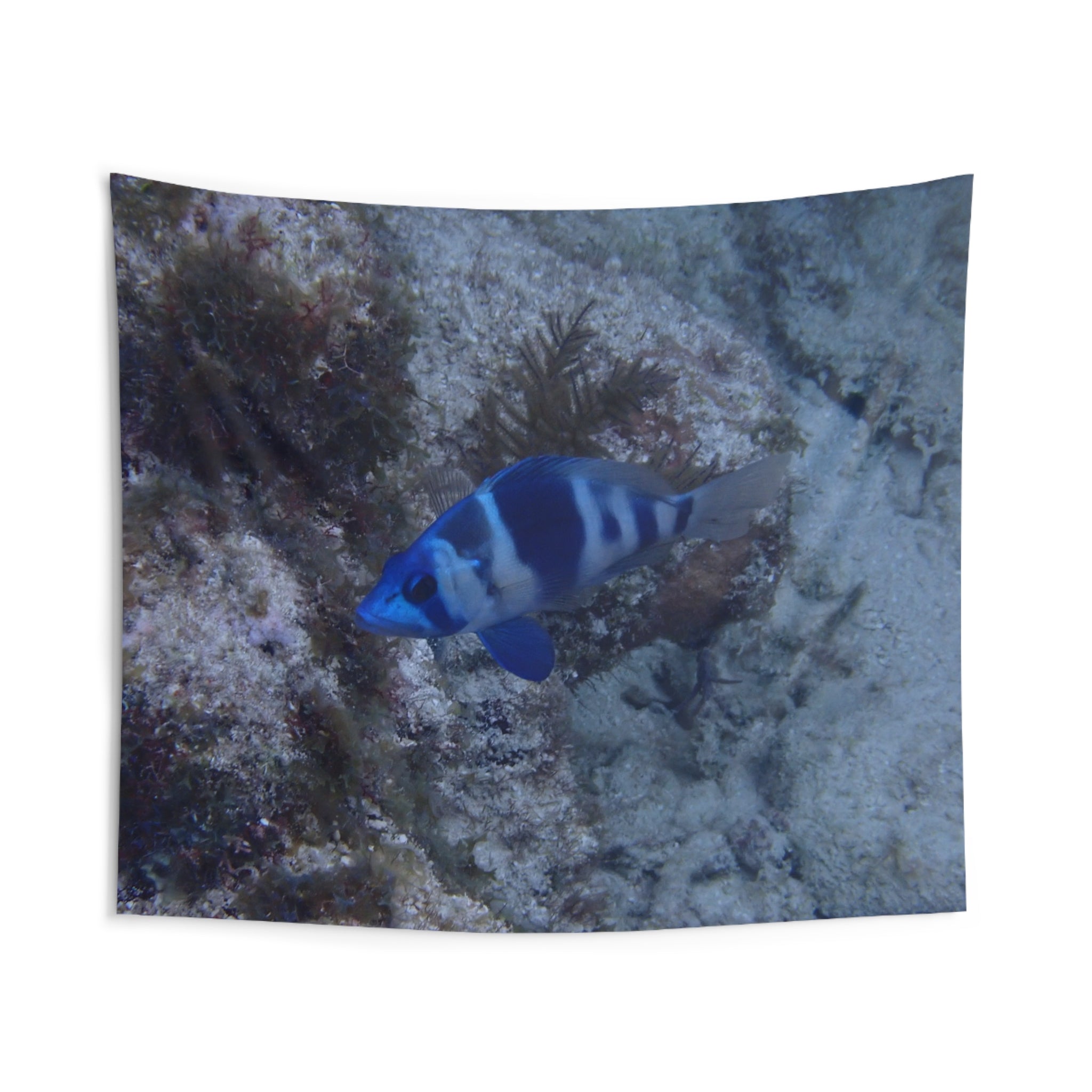 Indigo Hamlet Fish Tapestry — Underwater Ocean Wall Art for Beach Rooms & Marine Décor