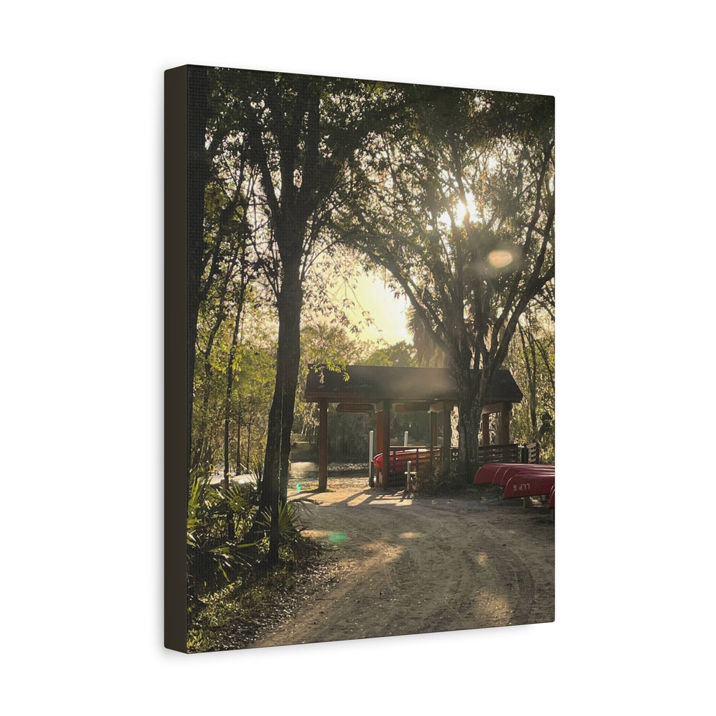 Hazy Morning Kayak - Sunlit Forest Matte Stretched Wall Art