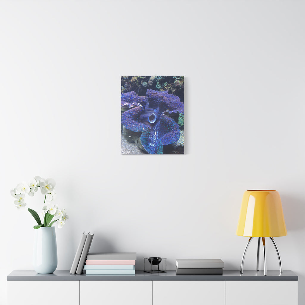 Blue Tridacna Clam Matte Canvas Print — Vibrant Ocean Coral Wall Art