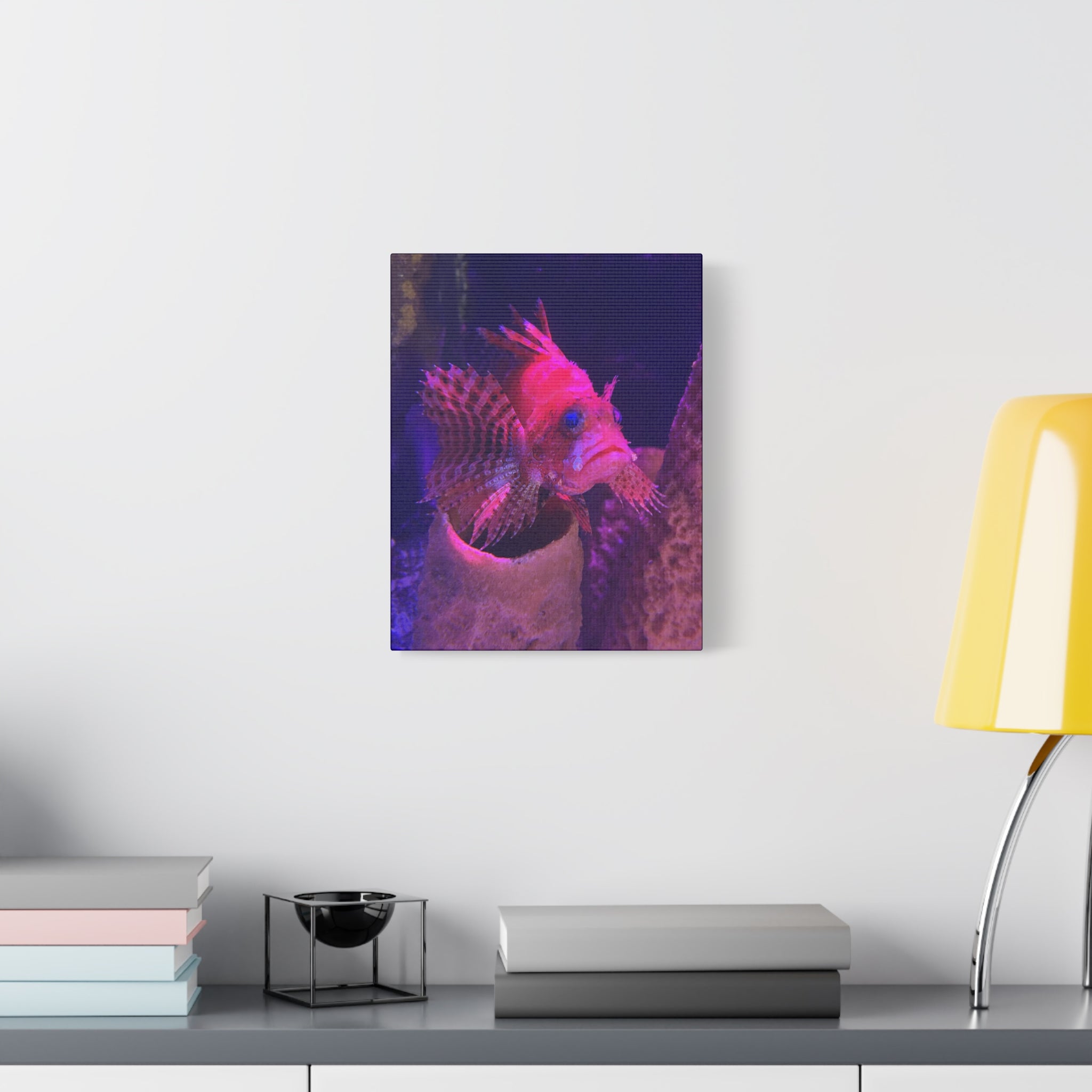 Fuzzy Dwarf Lionfish Canvas Print — Vibrant Marine Wall Art (1.25" Stretched)