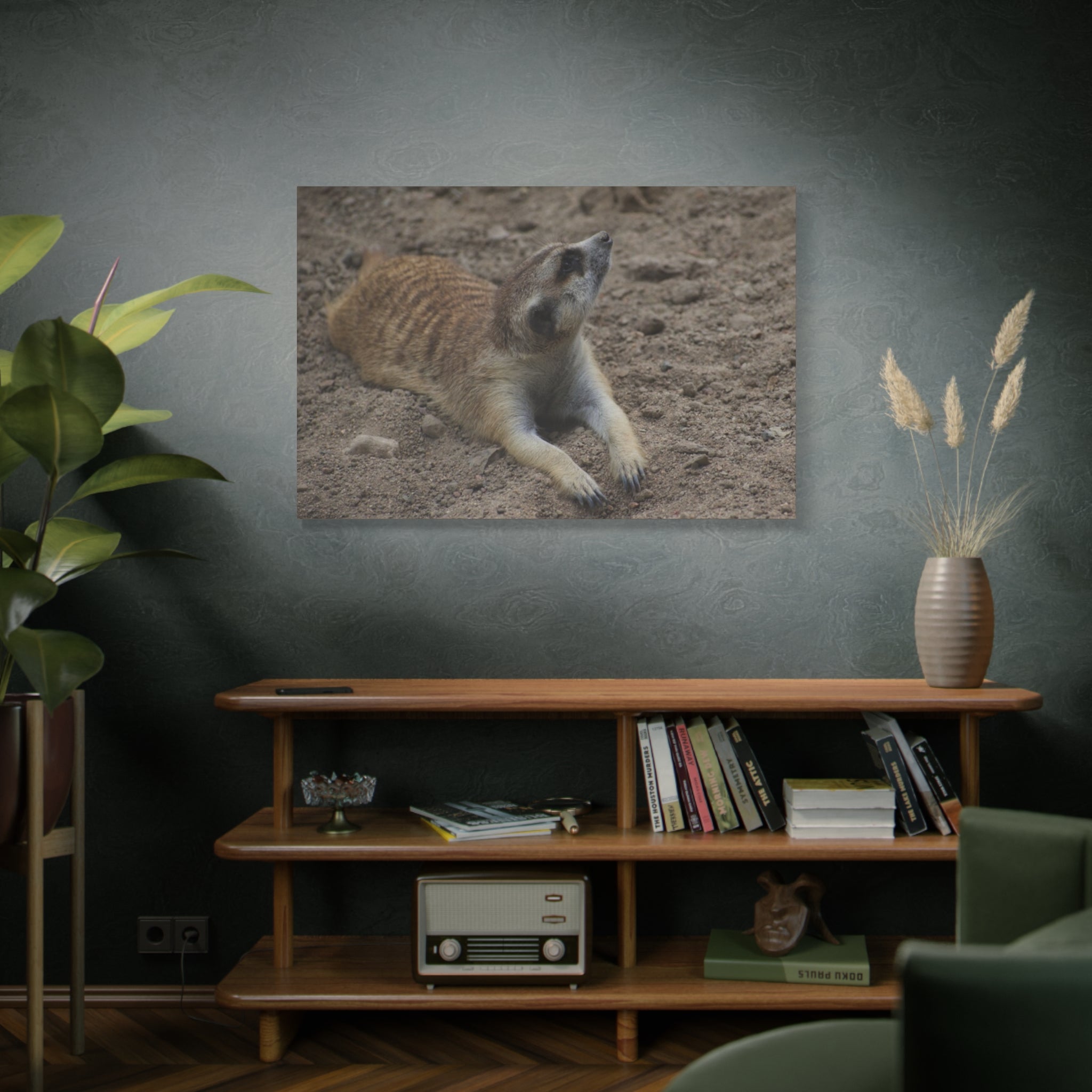 Meerkat Stretch Canvas Wall Art – Relaxed Desert Wildlife Print