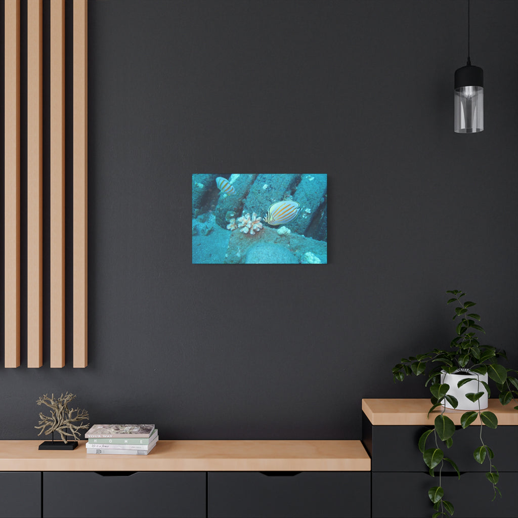 Tropical Butterflyfish Canvas Print — Underwater Coral Reef Wall Art