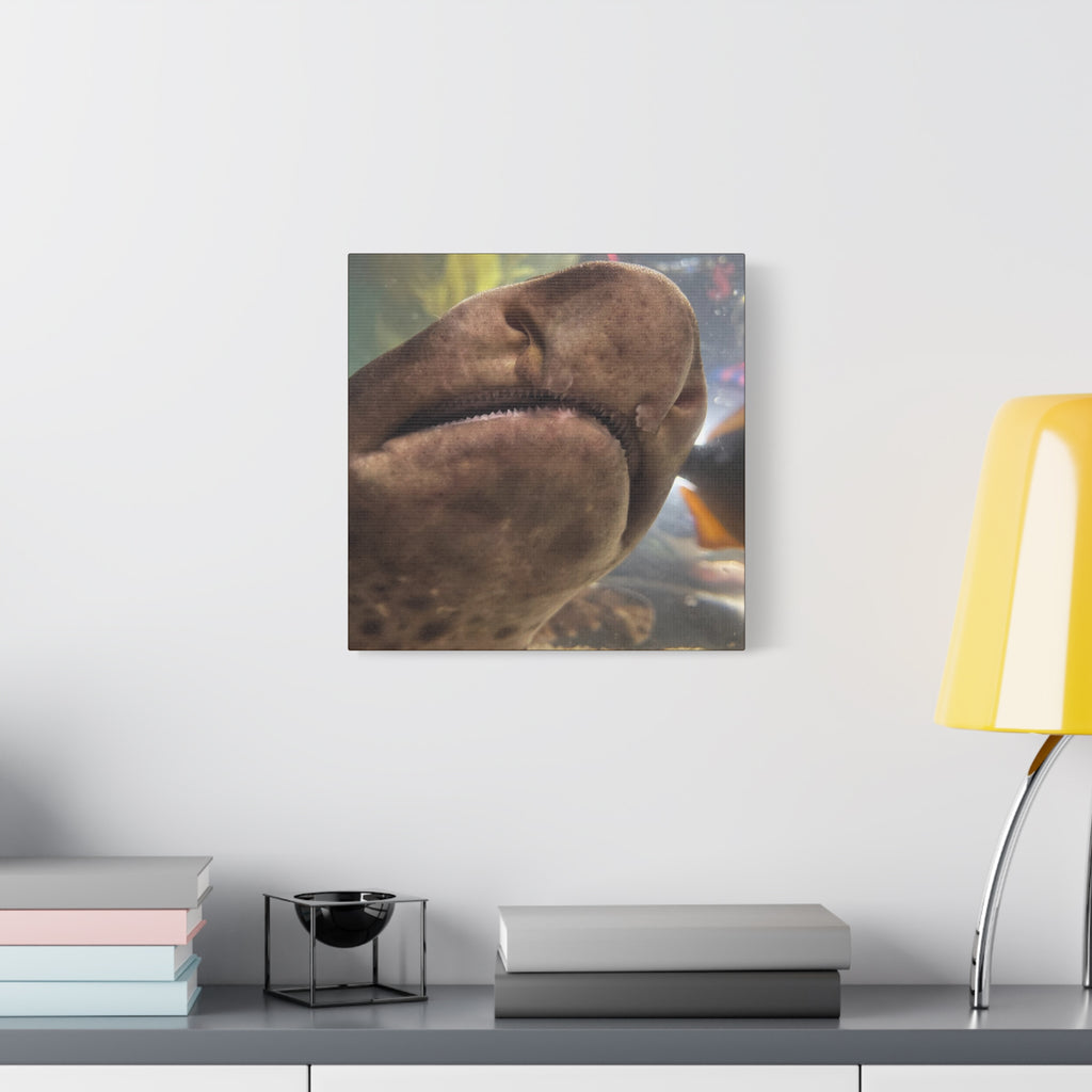 Swell Shark Close-Up Matte Canvas Print — Stretched 1.25" Wall Art