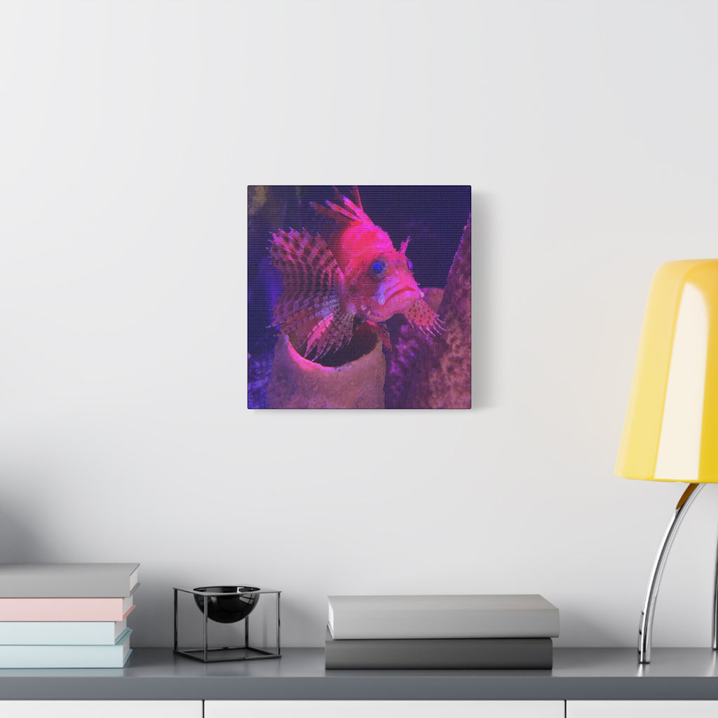 Fuzzy Dwarf Lionfish Canvas Print — Vibrant Marine Wall Art (1.25" Stretched)