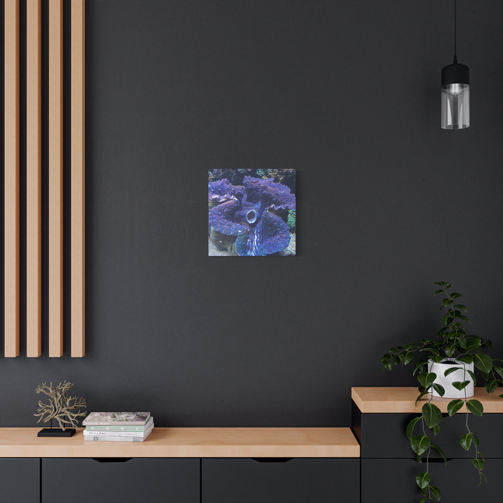 Blue Tridacna Clam Matte Canvas Print — Vibrant Ocean Coral Wall Art