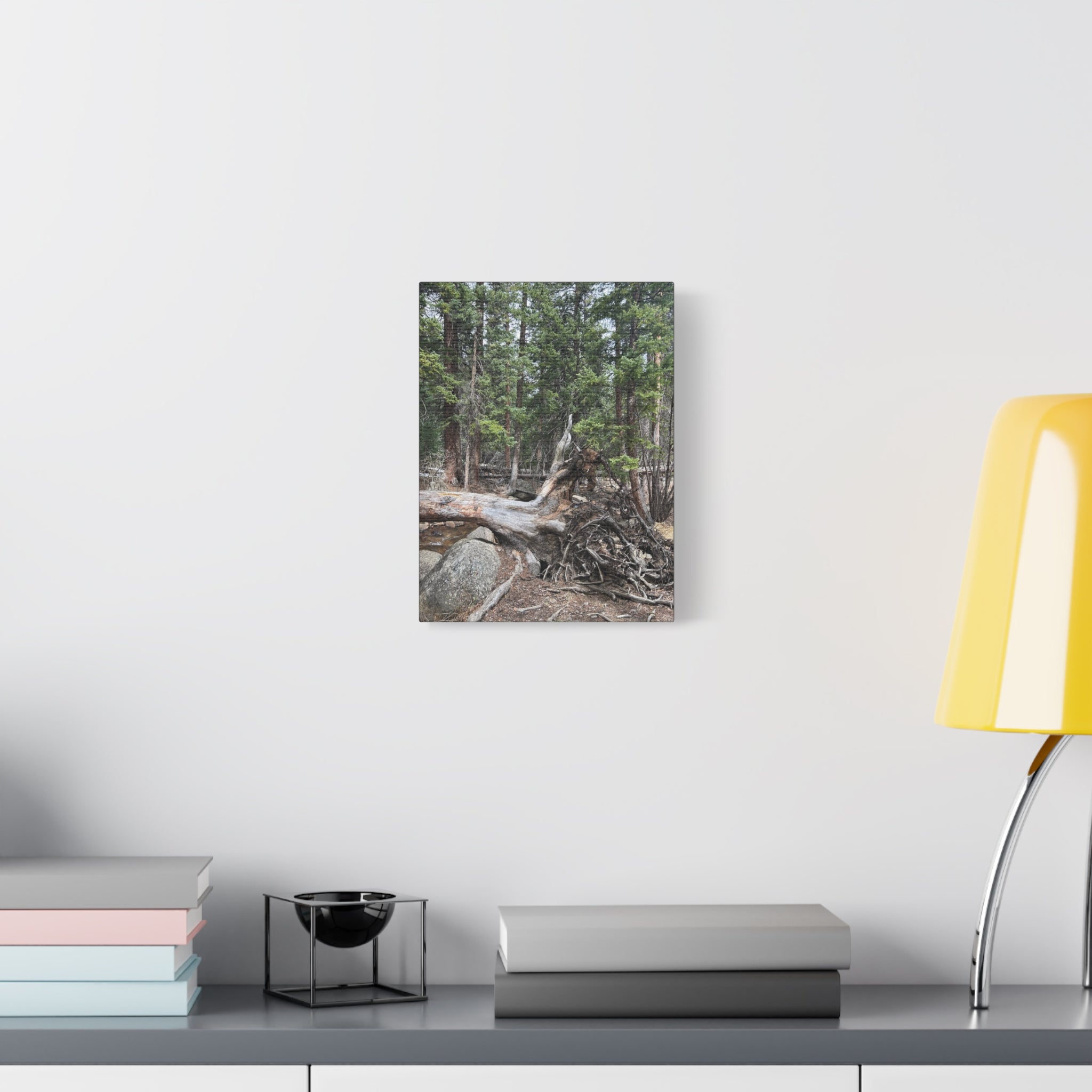 Forest Rootscape Matte Canvas Print — Stretched Wall Art