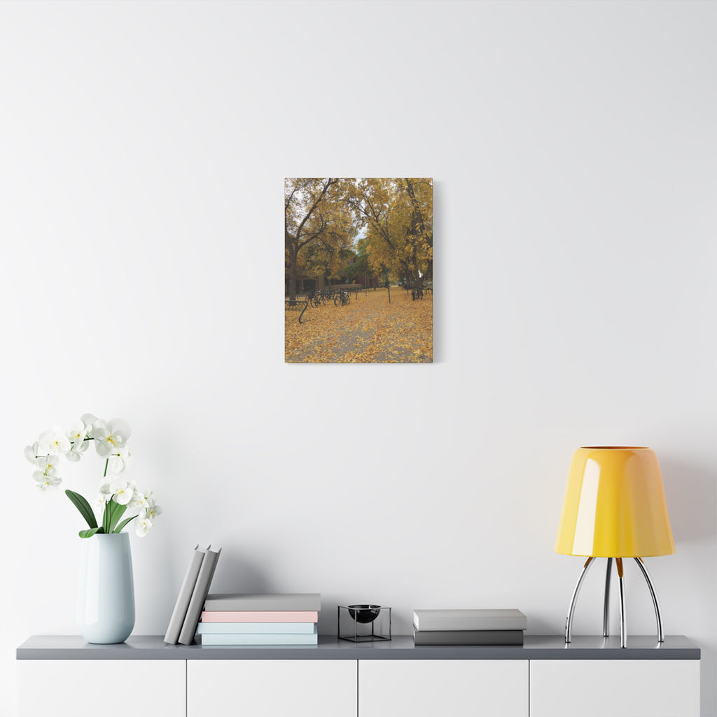 Autumn Campus Walk Matte Canvas Print