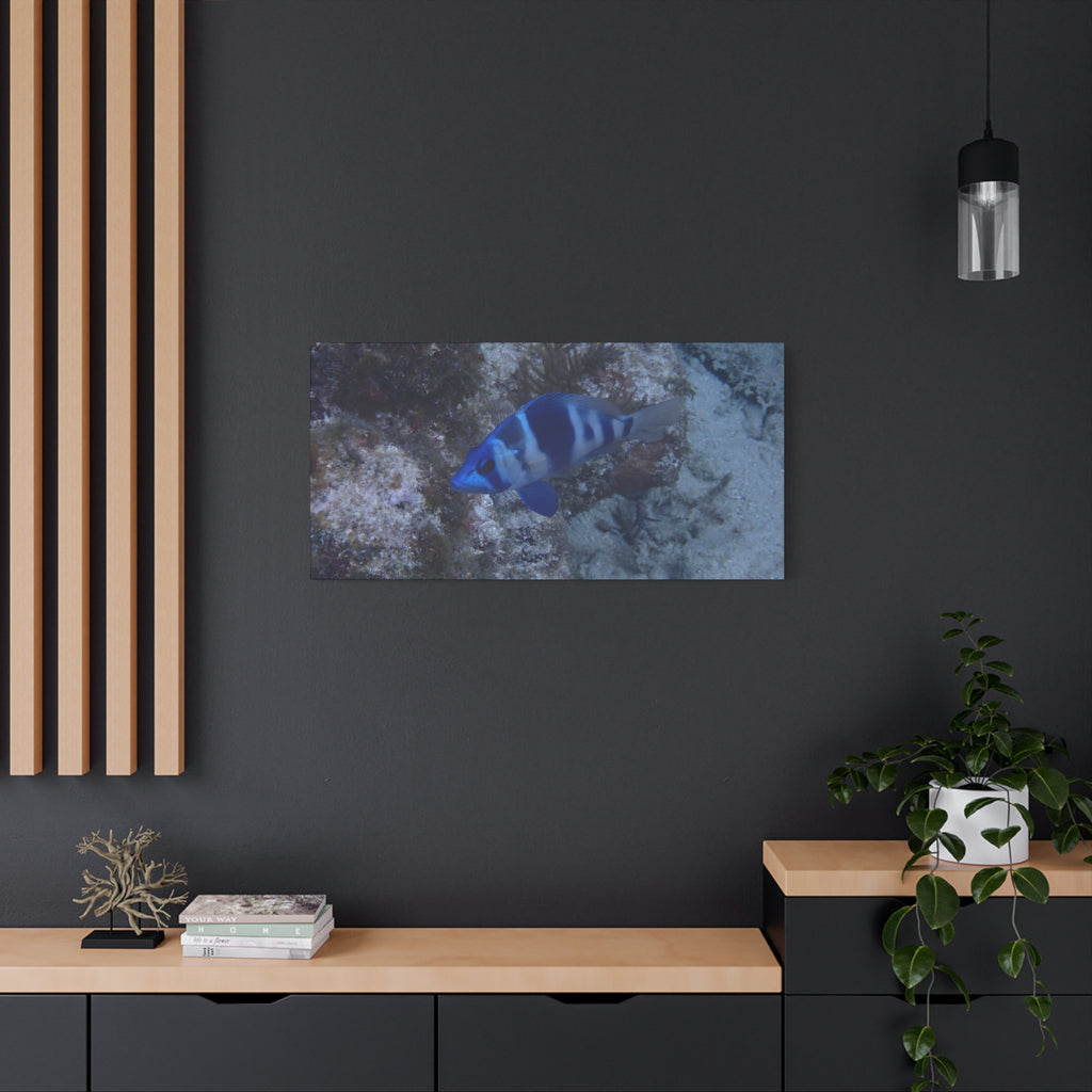 Indigo Hamlet Canvas Print — Underwater Matte Stretched Wall Art