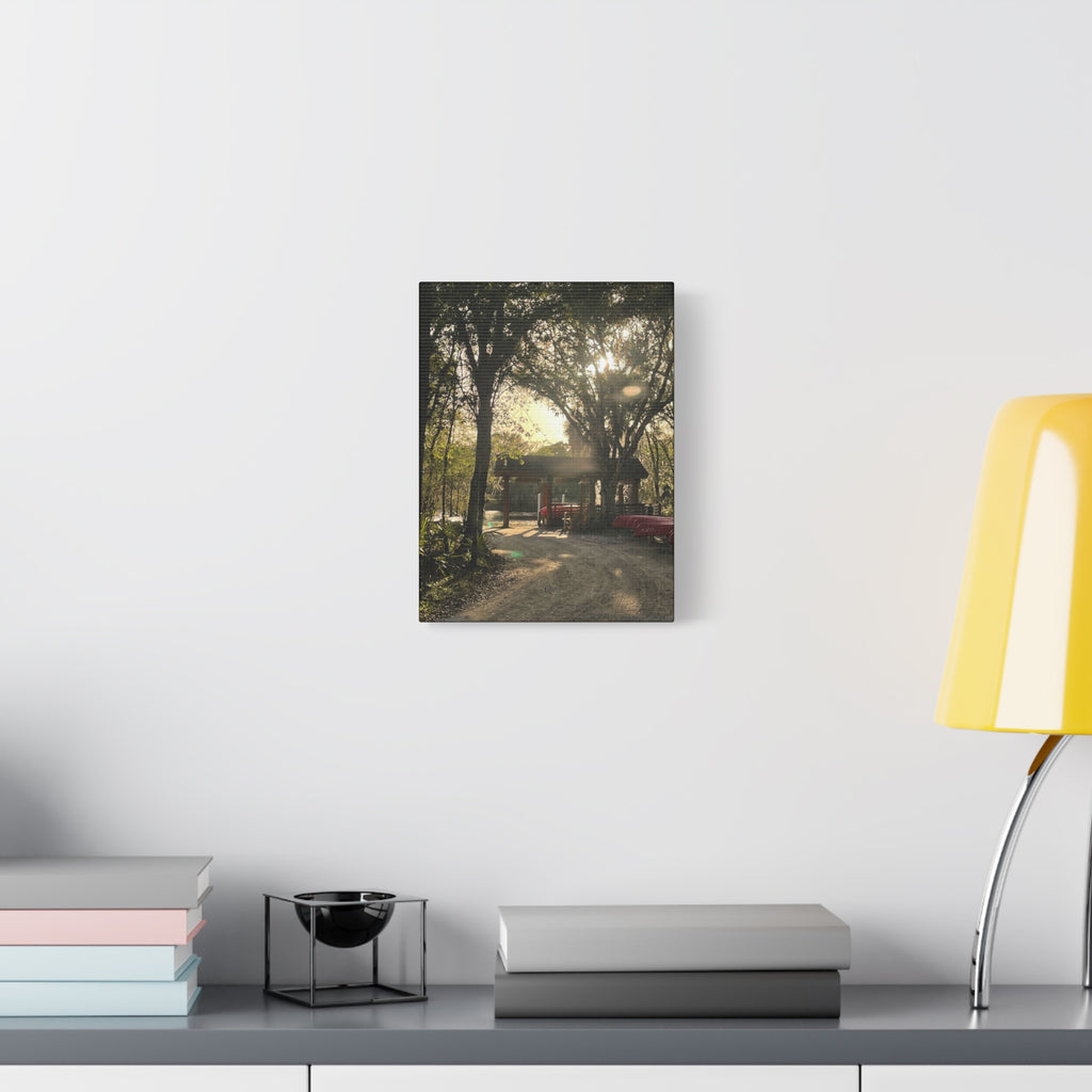 Hazy Morning Kayak - Sunlit Forest Matte Stretched Wall Art