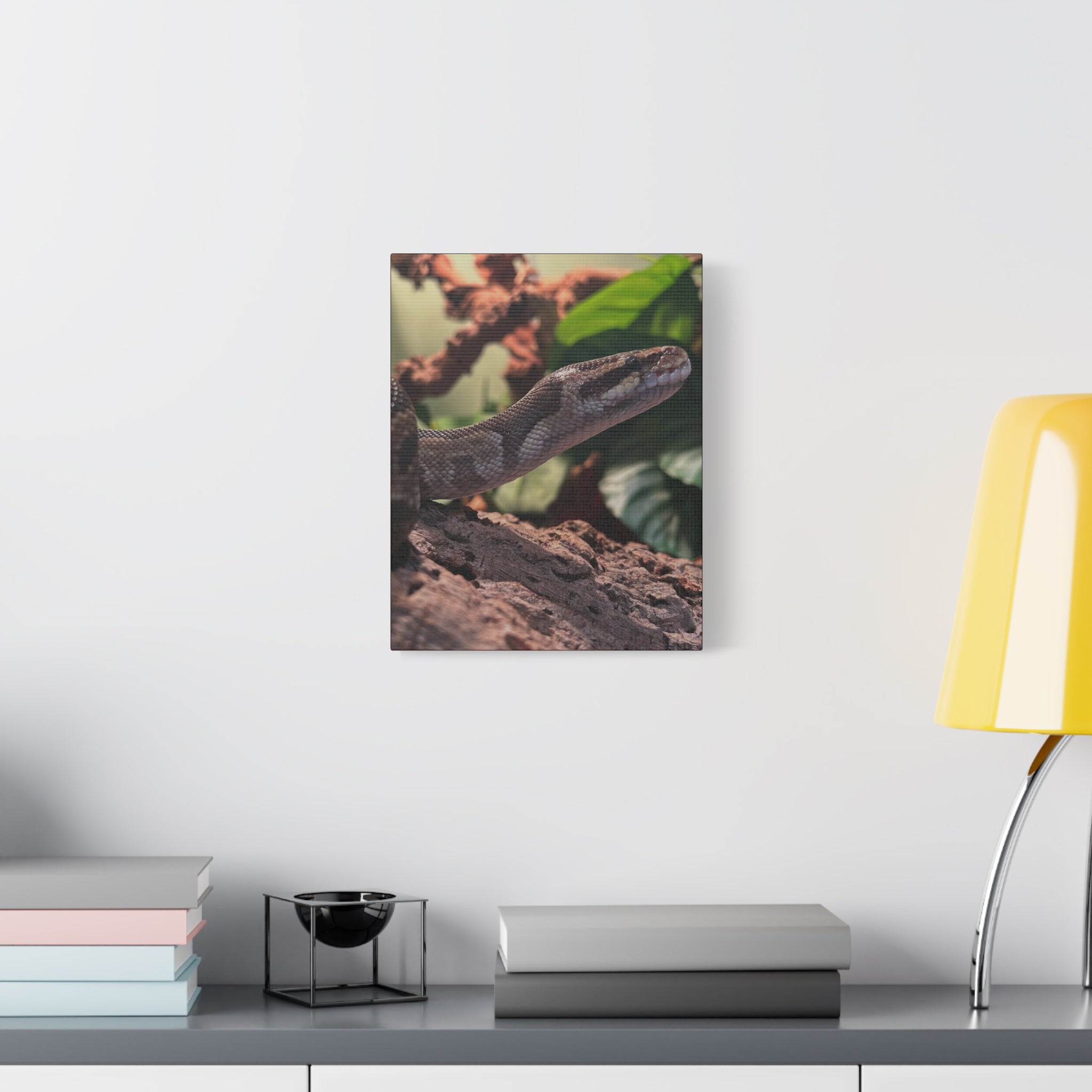 Ball Python Wildlife Matte Stretched Canvas Print — Reptile Wall Art