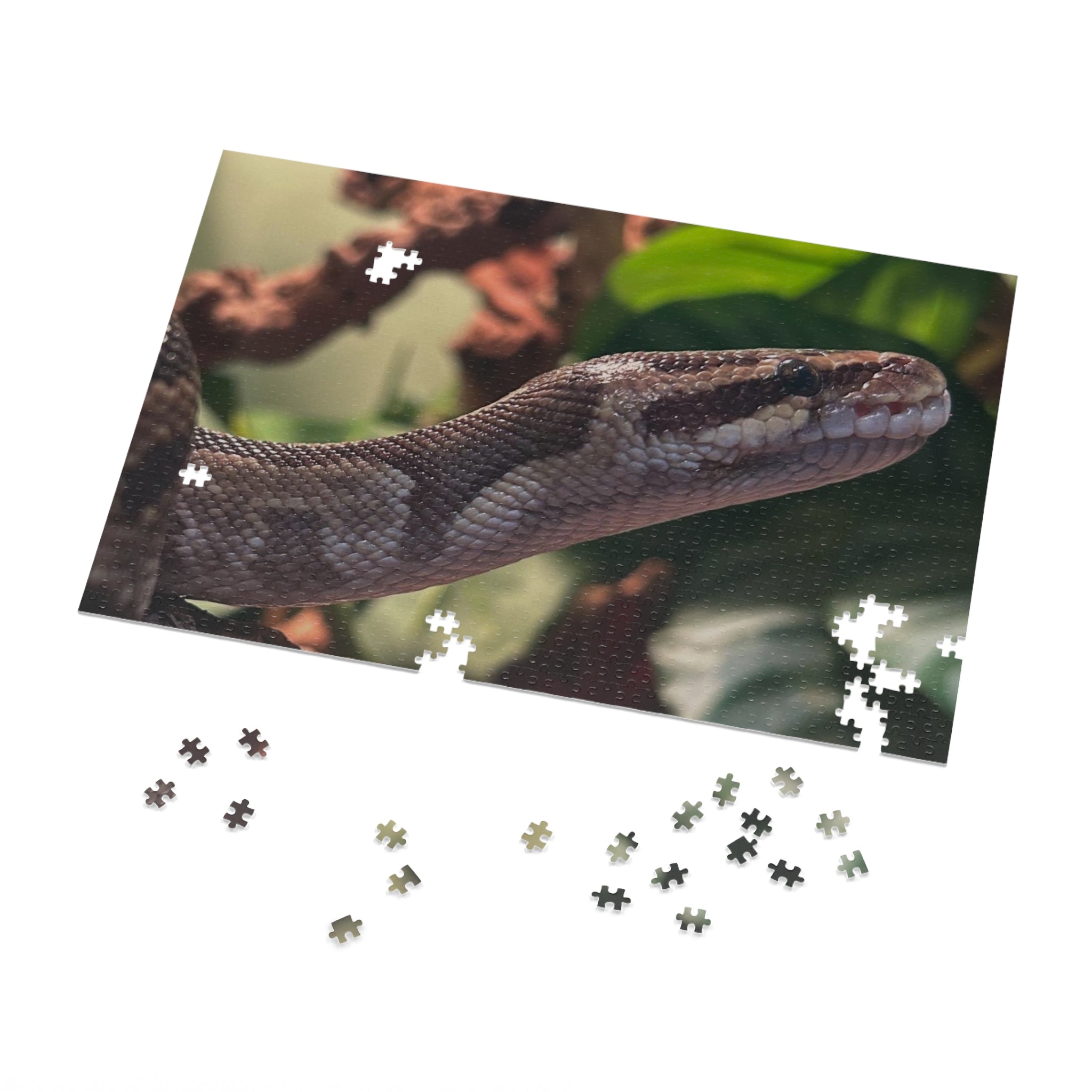 Snake Puzzle — Realistic Ball Python Jigsaw Puzzle with Tin