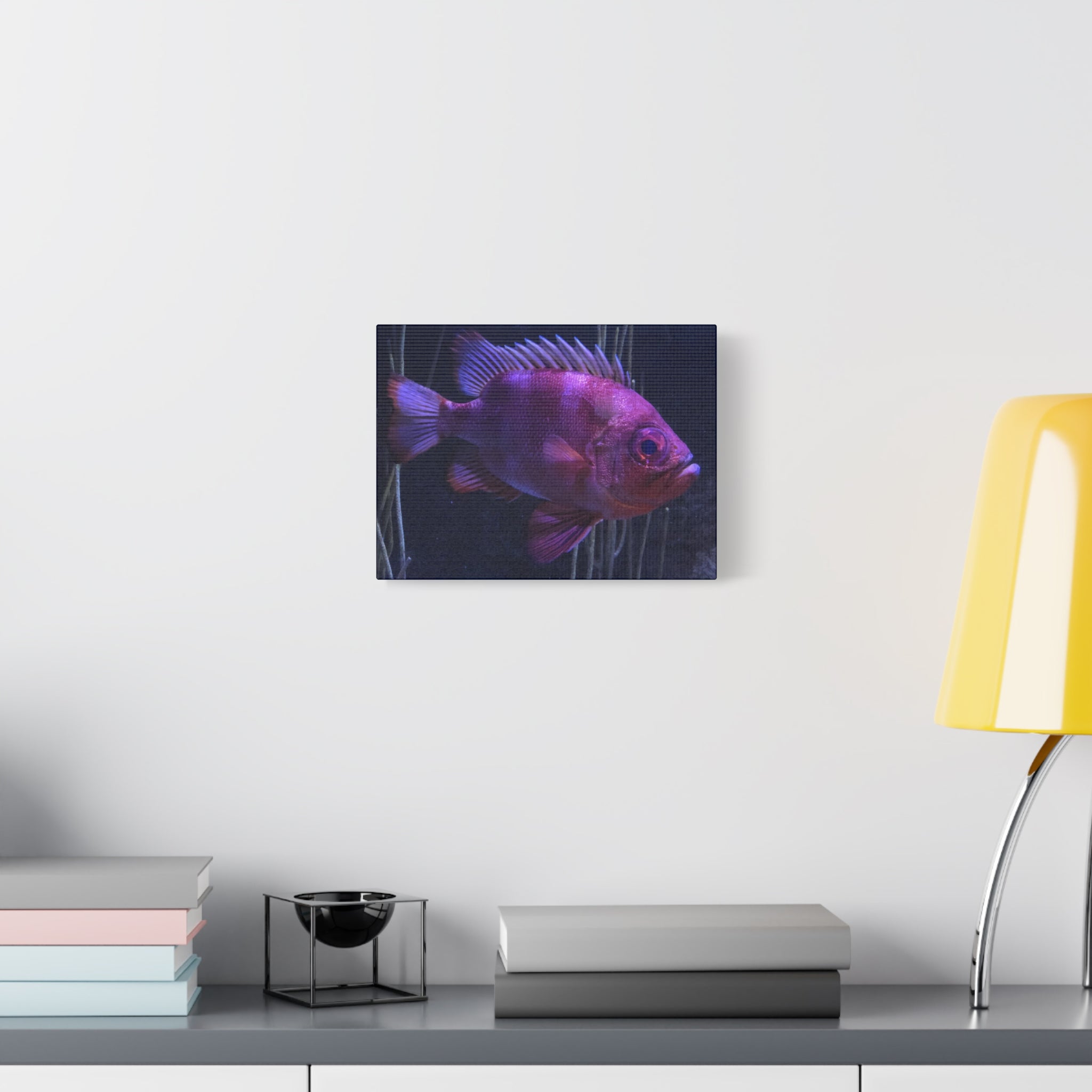 Popeye Catalufa Canvas Print — Vibrant Ocean Wall Art