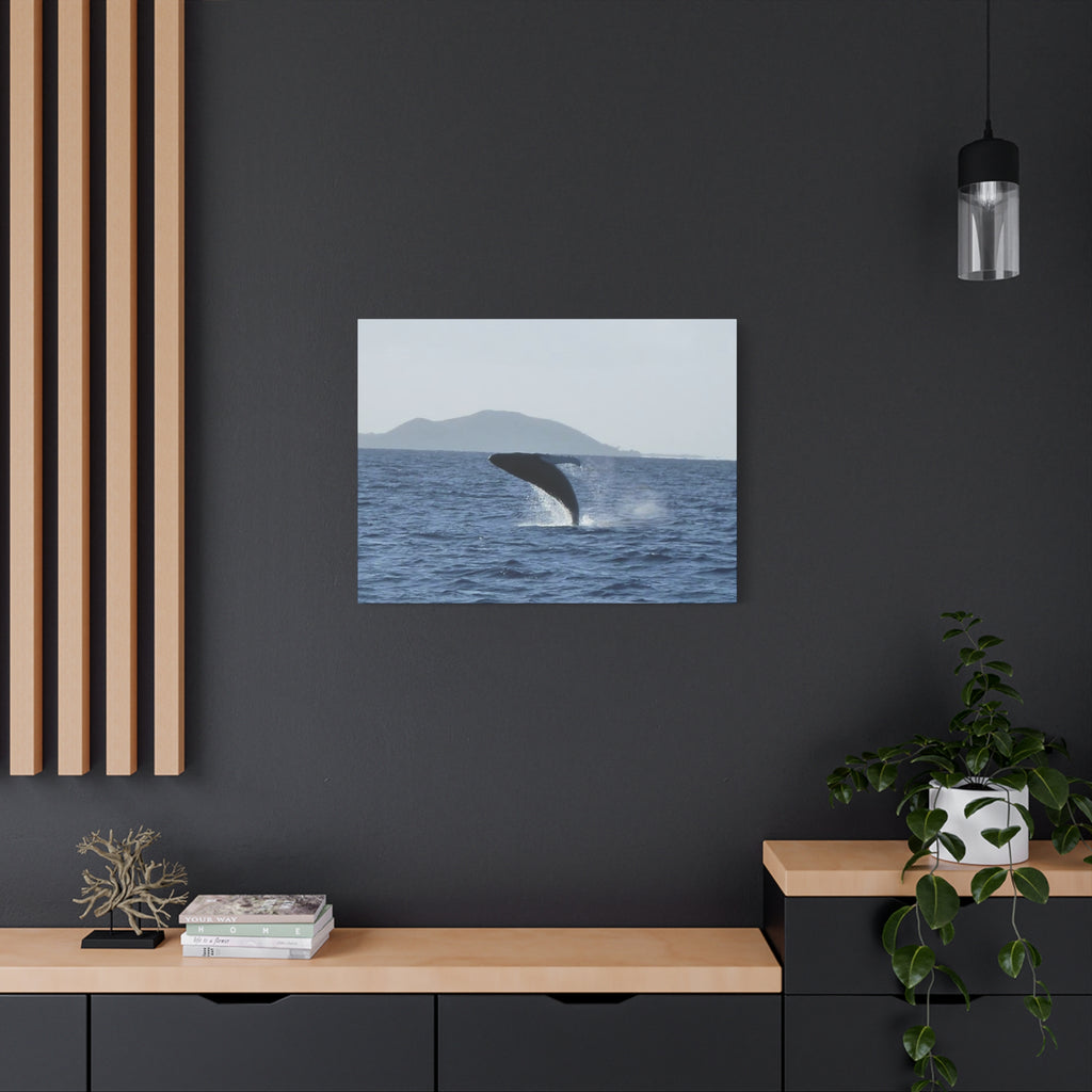 Humpback Whale Breach Matte Canvas Wall Art