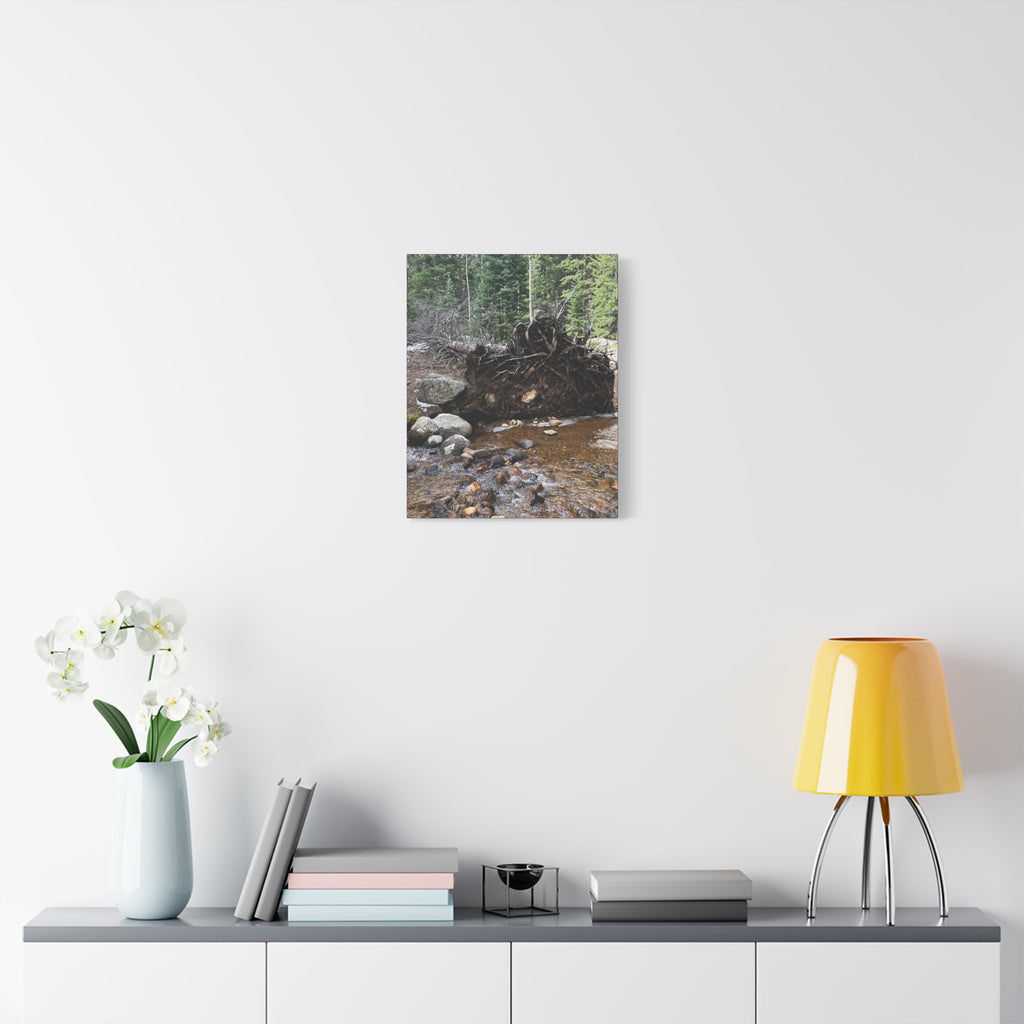 Riverbank Forest Canvas Print – Matte Stretched Wall Art (1.25")