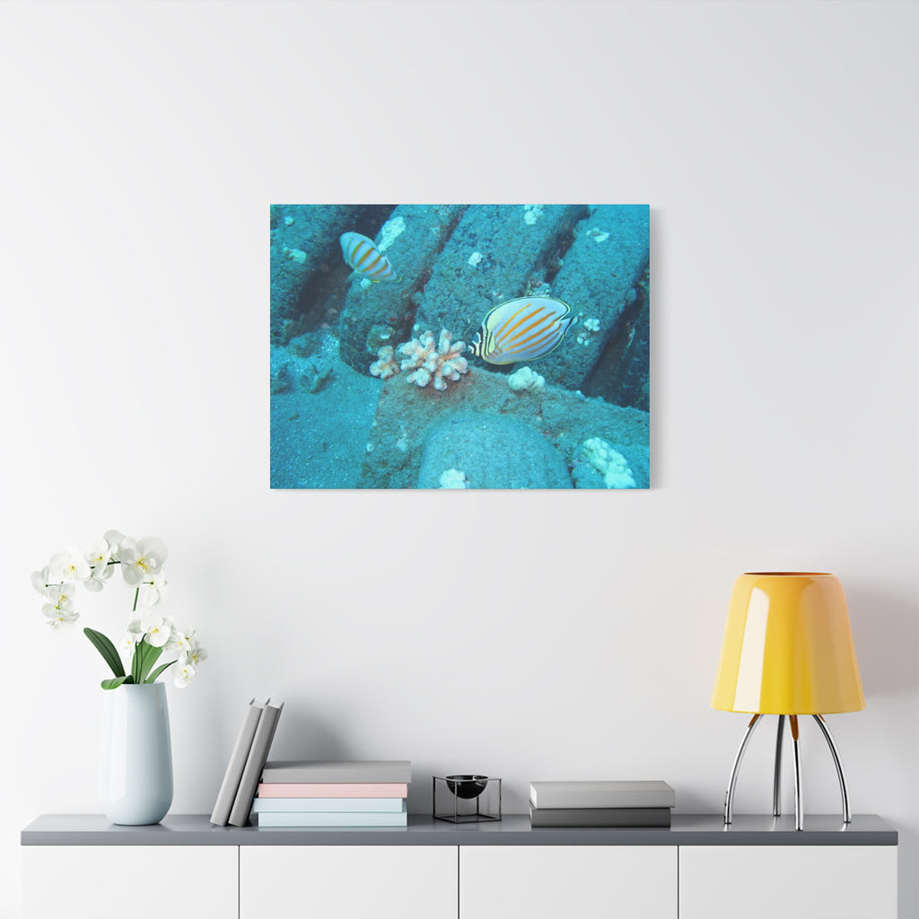 Tropical Butterflyfish Canvas Print — Underwater Coral Reef Wall Art