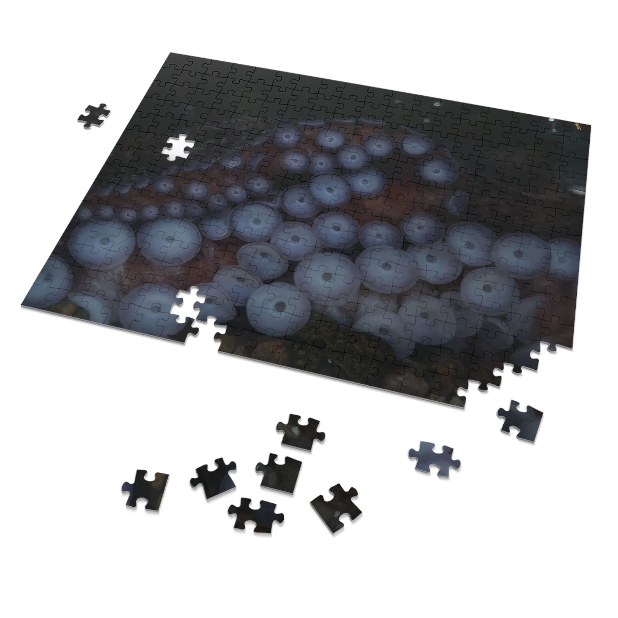 Octopus Suckers Jigsaw Puzzle with Tin — Marine Life Ocean Decor Gift