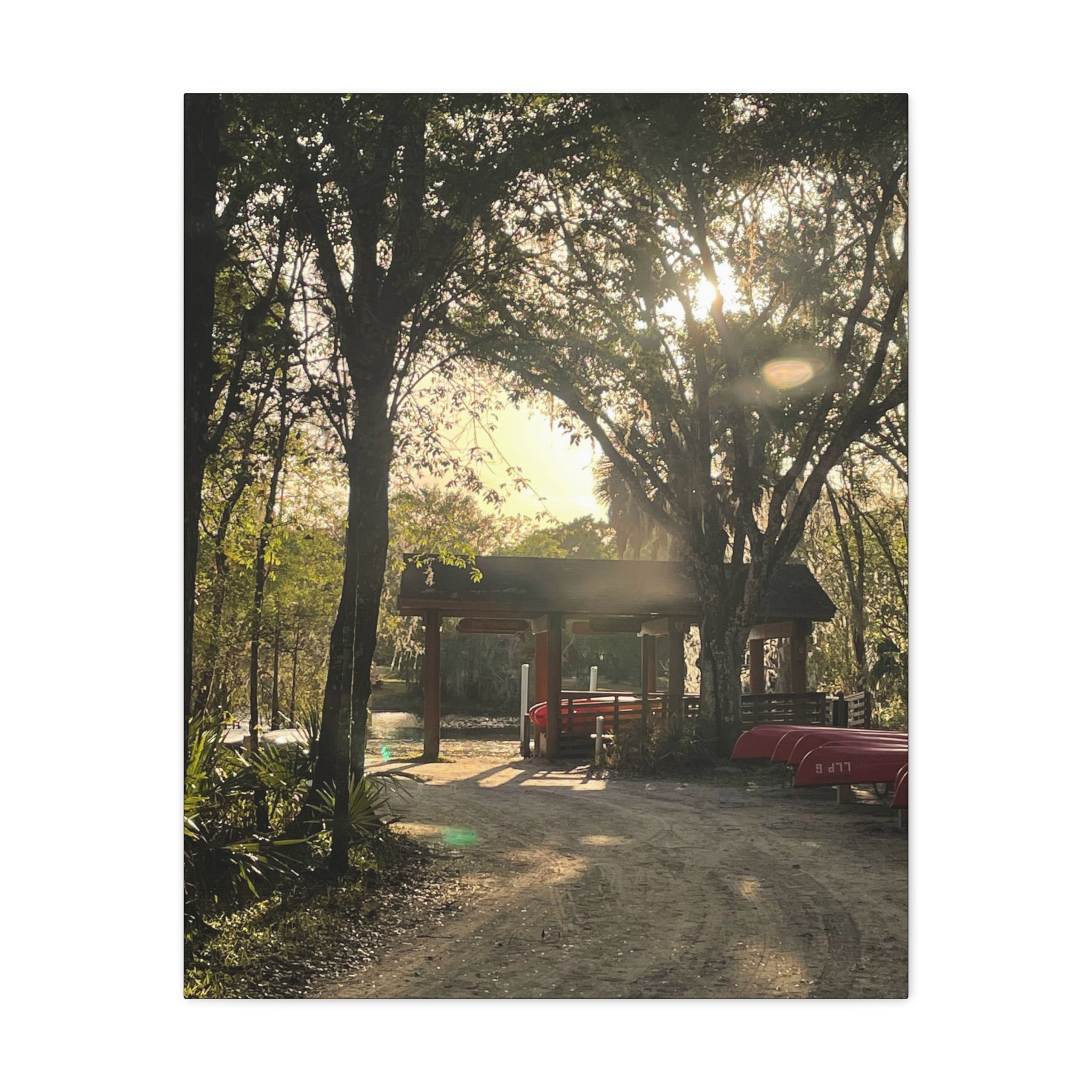 Hazy Morning Kayak - Sunlit Forest Matte Stretched Wall Art