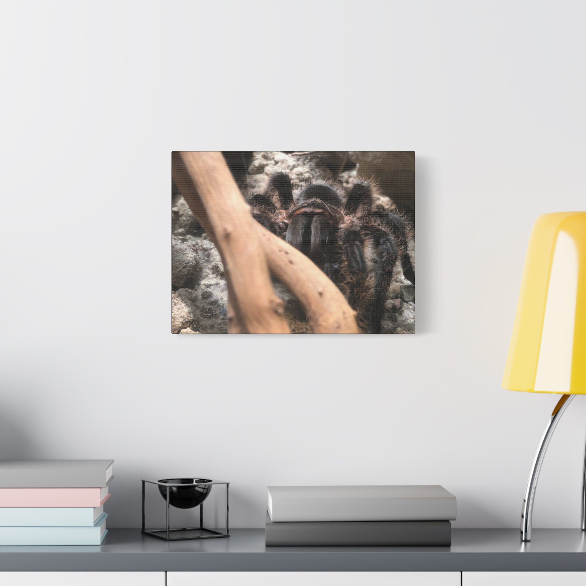 Tarantula Staredown Matte Canvas Print — Naturalistic Arachnid Wall Art