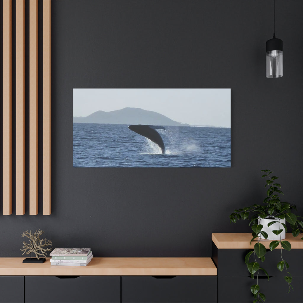Humpback Whale Breach Matte Canvas Wall Art