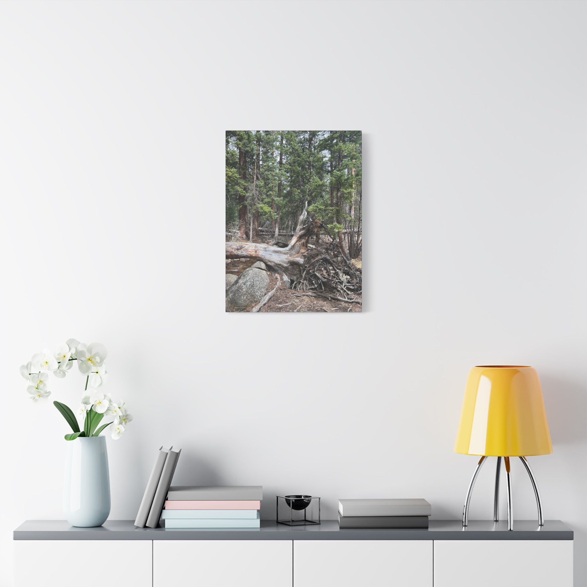 Forest Rootscape Matte Canvas Print — Stretched Wall Art