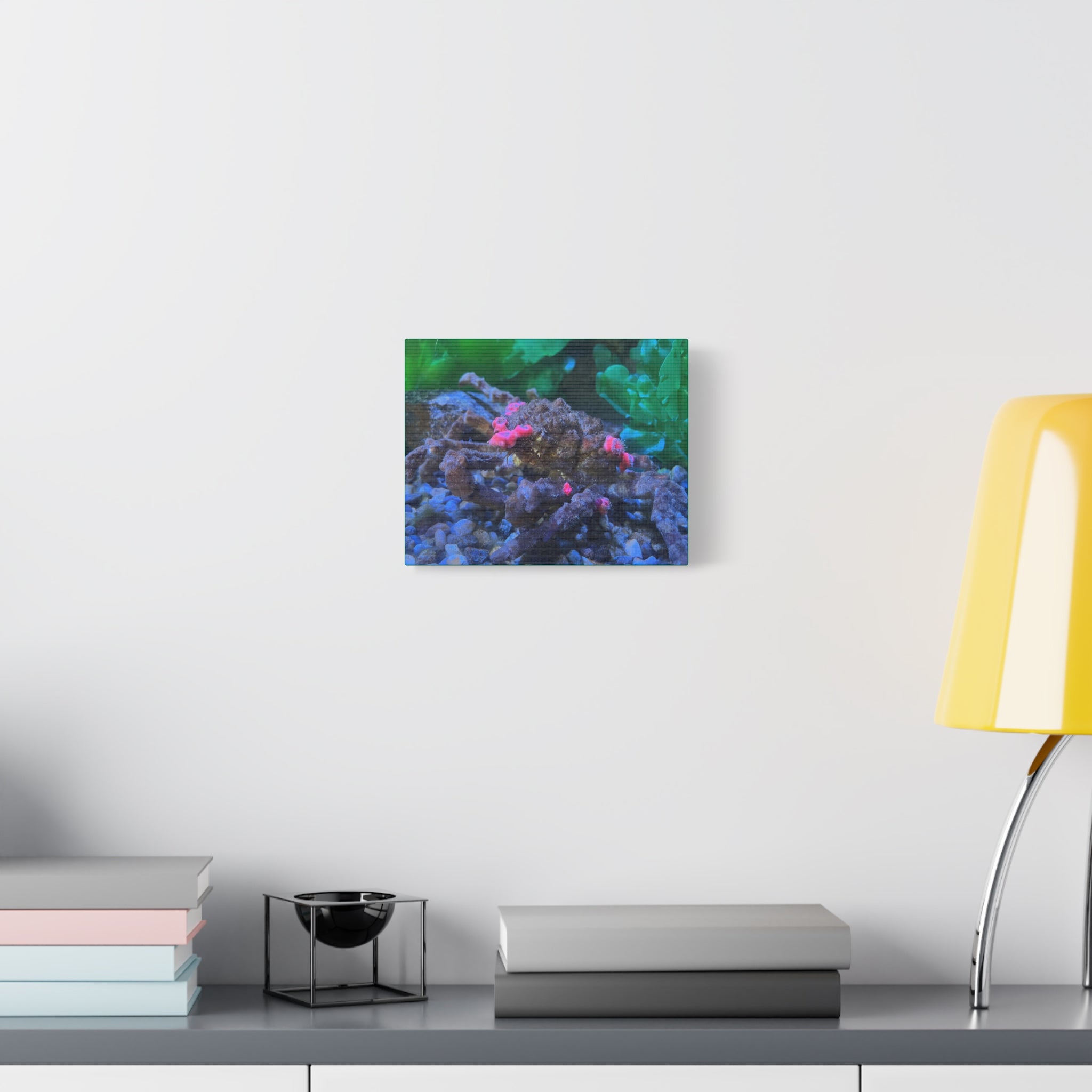 Decorator Crab Canvas Print — Colorful Underwater Art, Matte Stretched 1.25"