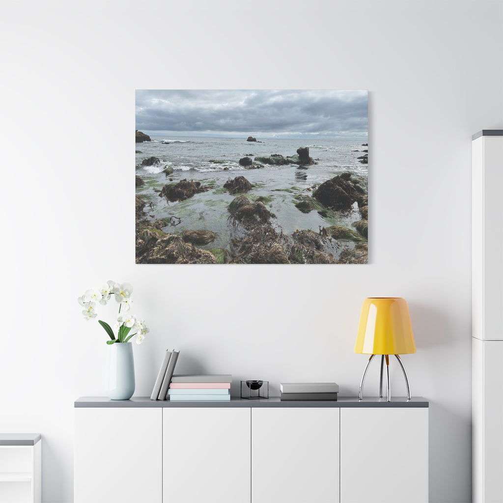 Coastal Tidepool Canvas Wall Art – Moody Gray Seashore Matte Stretched Canvas