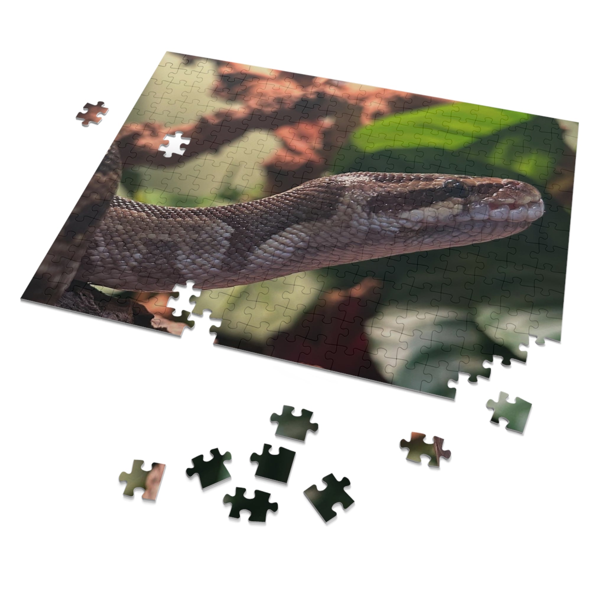 Snake Puzzle — Realistic Ball Python Jigsaw Puzzle with Tin