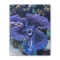 Blue Tridacna Clam Matte Canvas Print — Vibrant Ocean Coral Wall Art