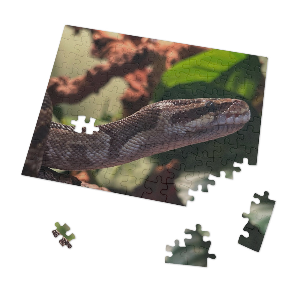 Snake Puzzle — Realistic Ball Python Jigsaw Puzzle with Tin