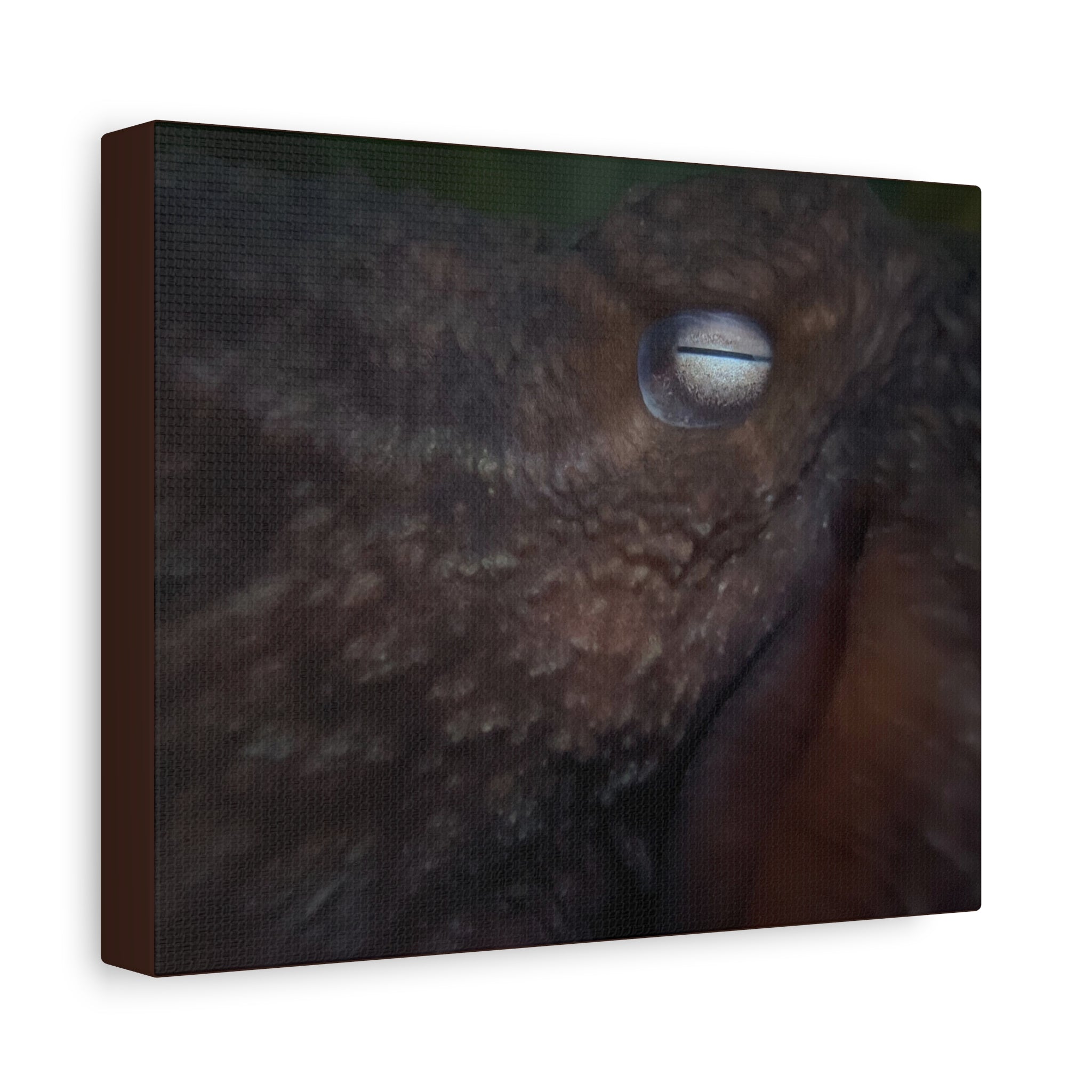 Octopus Eye Matte Canvas Print — Deep Sea Photography Wall Art