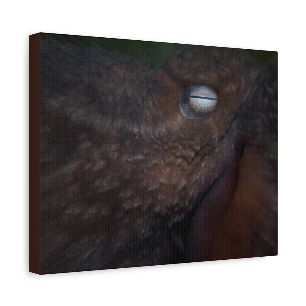Octopus Eye Matte Canvas Print — Deep Sea Photography Wall Art