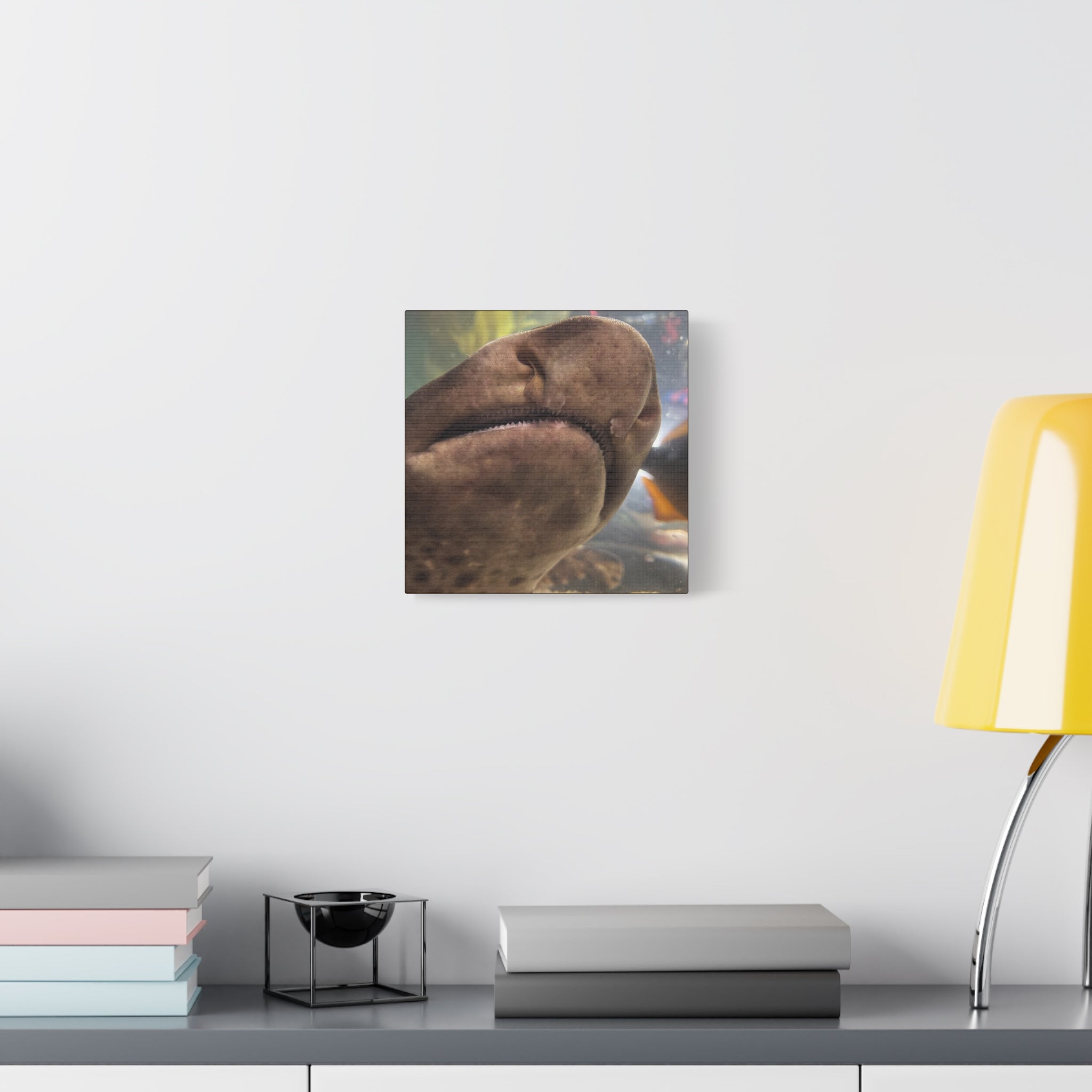 Swell Shark Close-Up Matte Canvas Print — Stretched 1.25" Wall Art