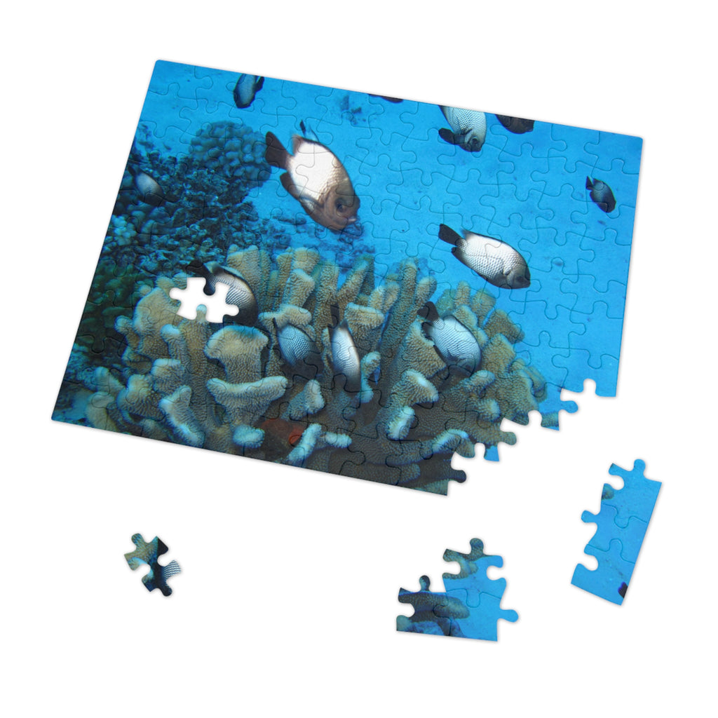 Coral Reef Fish Jigsaw Puzzle (with Tin) - Ocean Puzzle Gift