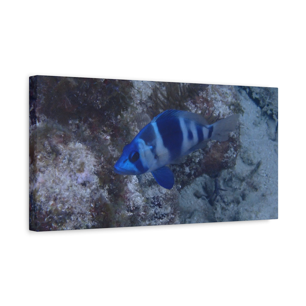 Indigo Hamlet Canvas Print — Underwater Matte Stretched Wall Art